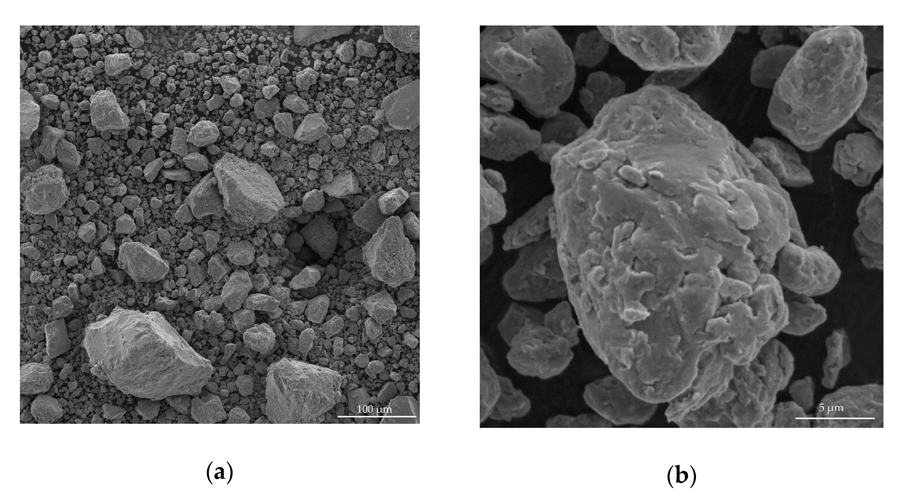 Molecules 25 03561 g005 Molecules 25 03561 g005