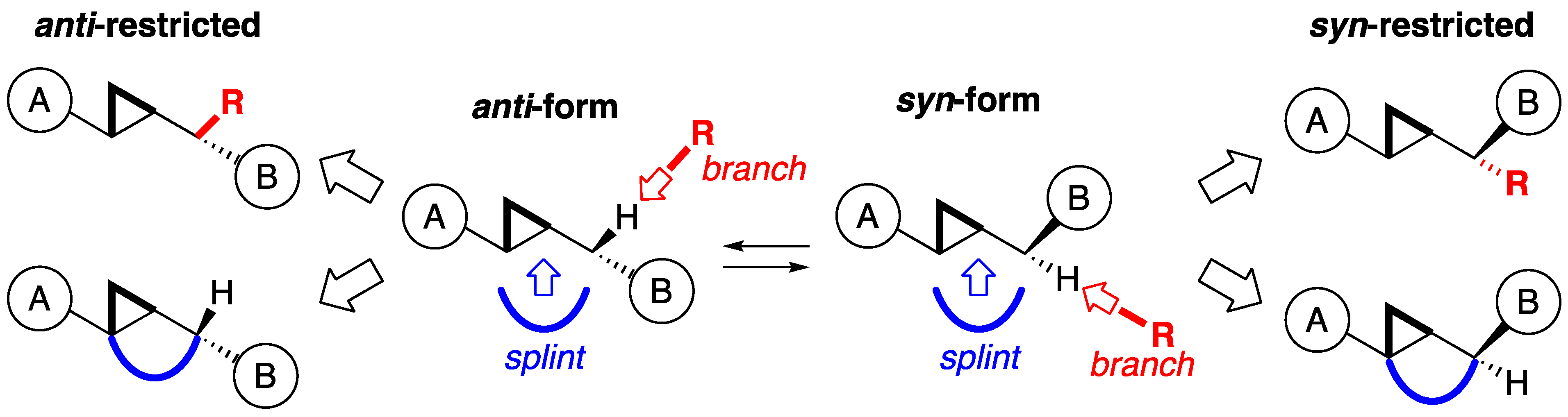 Molecules 25 03562 g003 Molecules 25 03562 g003