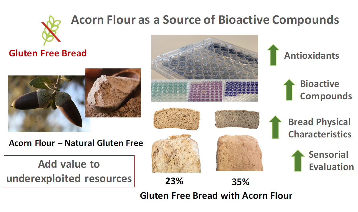 Molecules Free FullText Acorn Flour as a Source of Bioactive Compounds in GlutenFree Bread