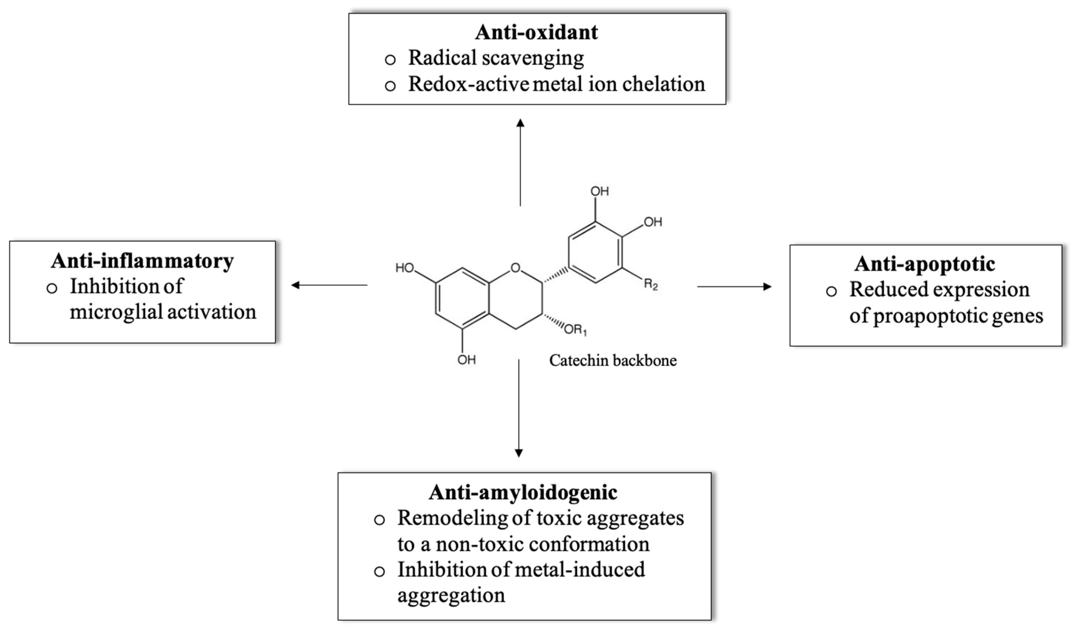Molecules 25 03571 g001 Molecules 25 03571 g001