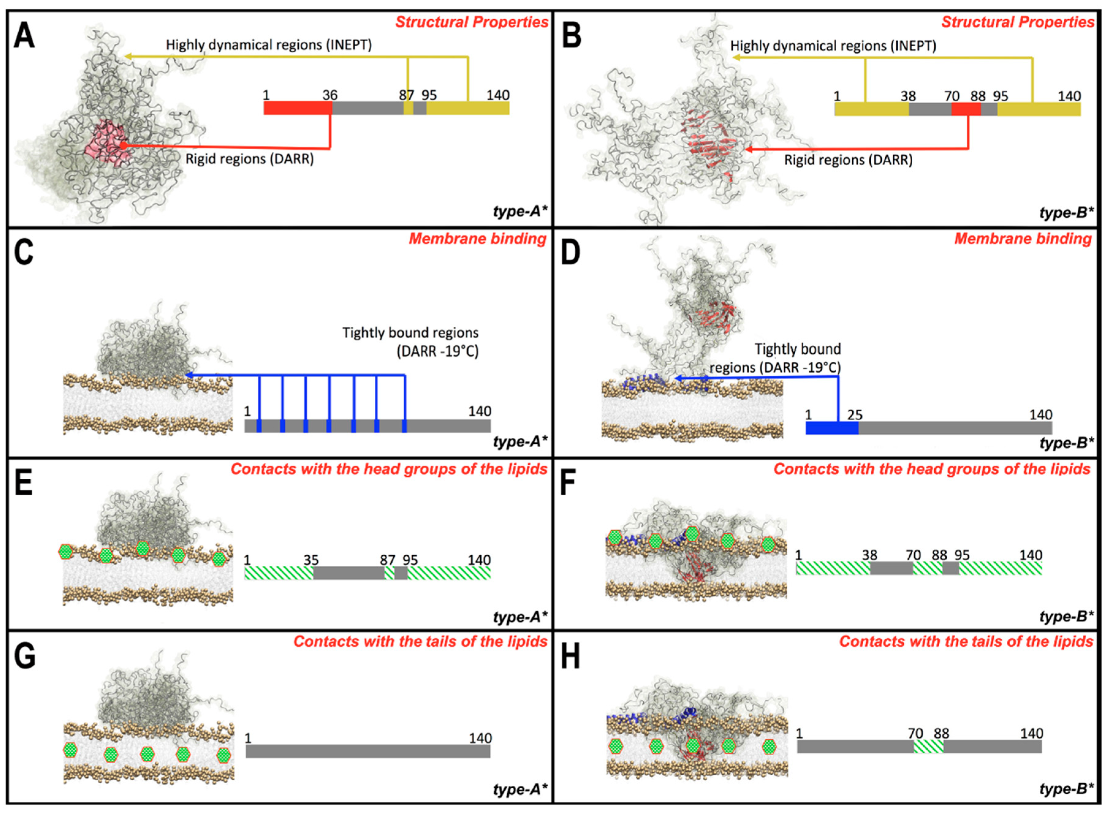 Molecules 25 03571 g007 Molecules 25 03571 g007