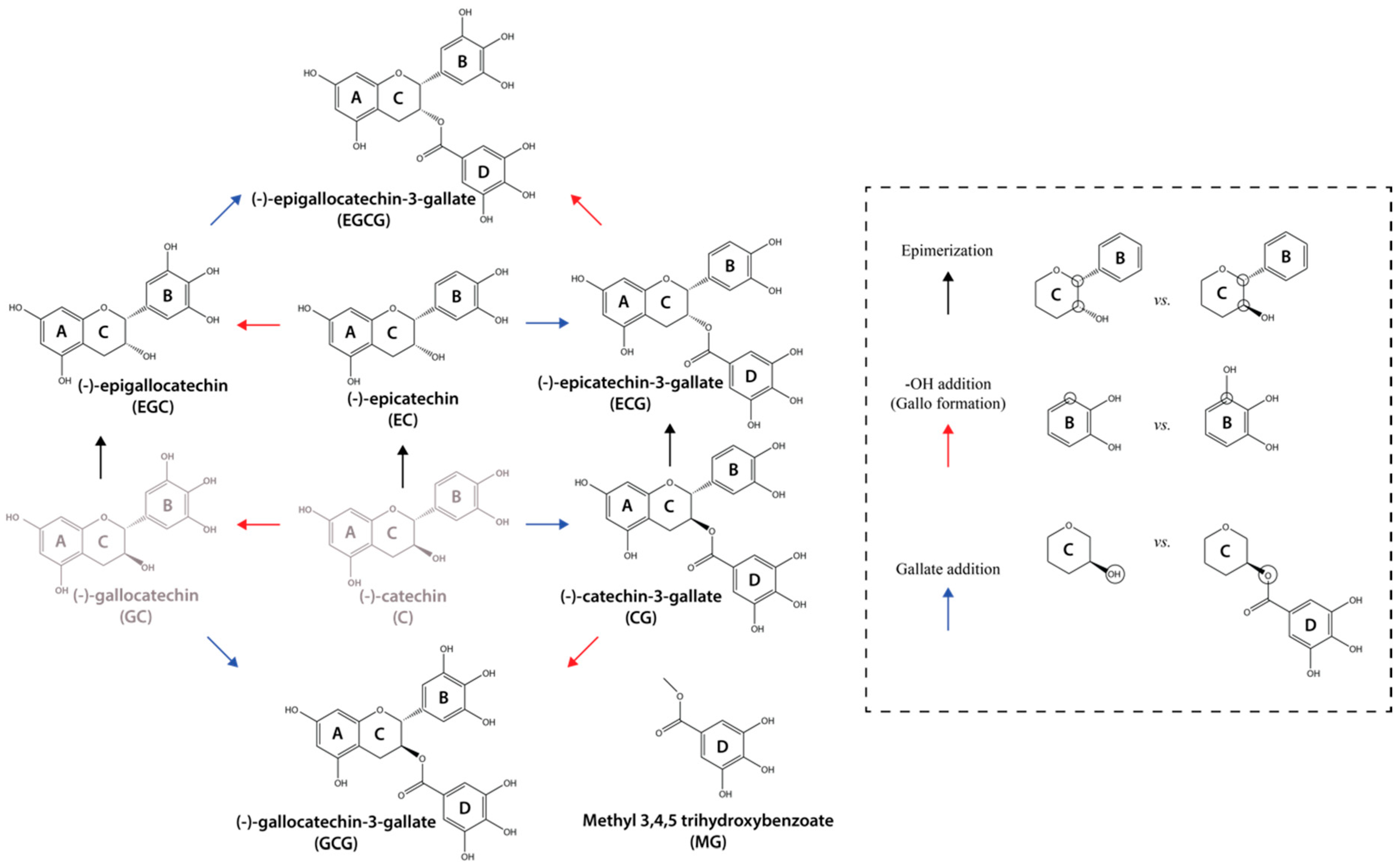 Molecules 25 03571 g008 Molecules 25 03571 g008