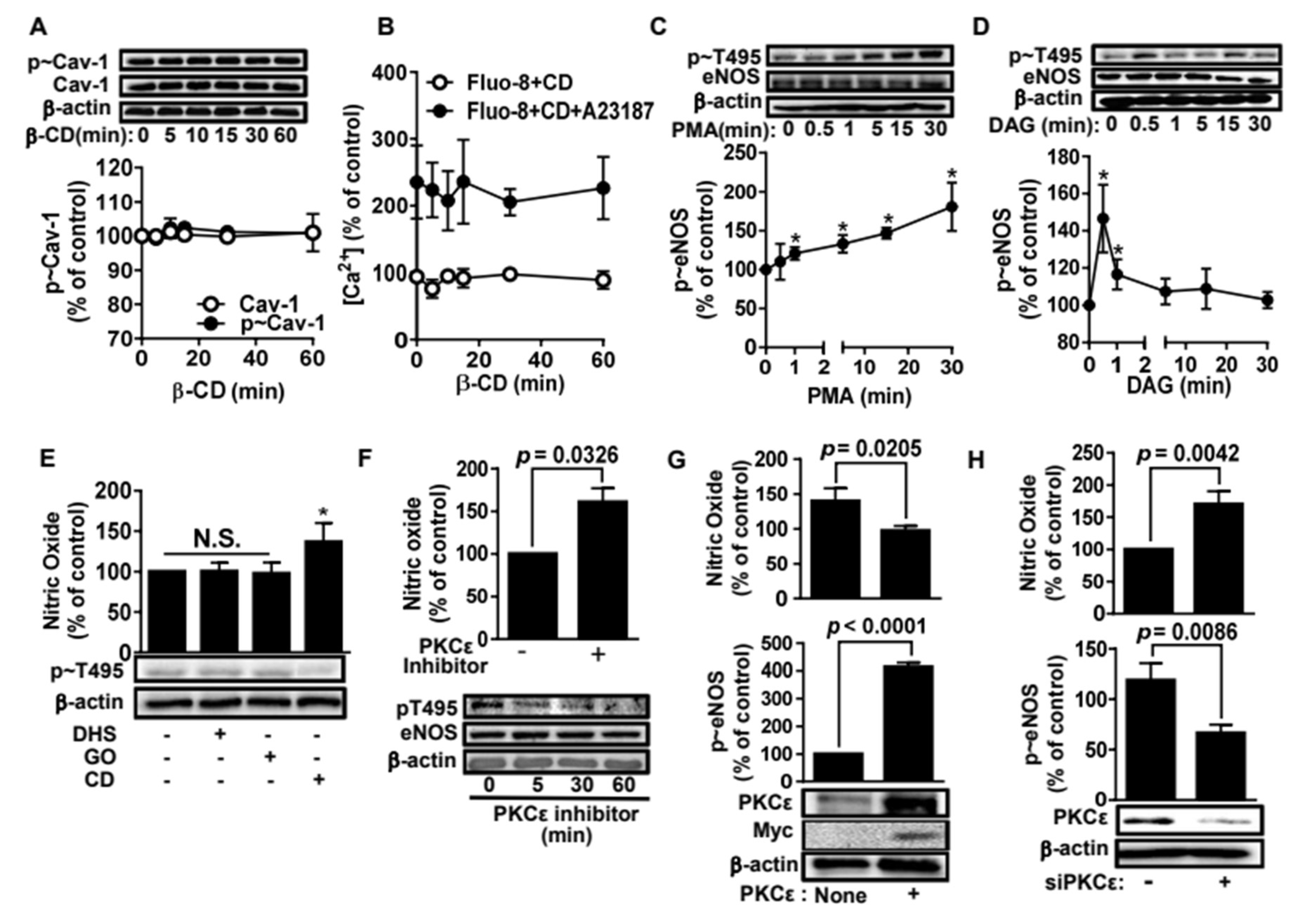Molecules 25 03575 g003 Molecules 25 03575 g003