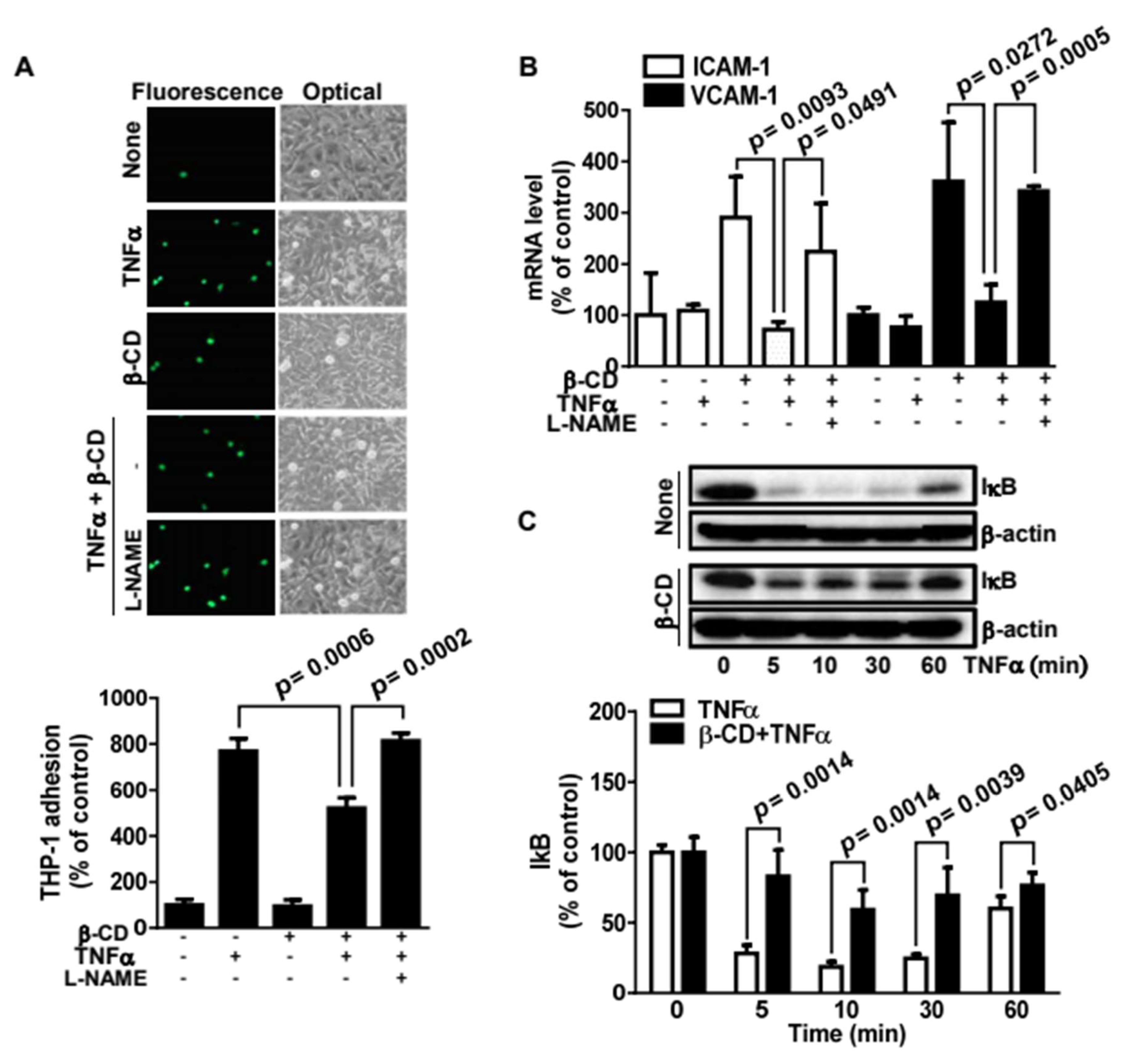 Molecules 25 03575 g005 Molecules 25 03575 g005