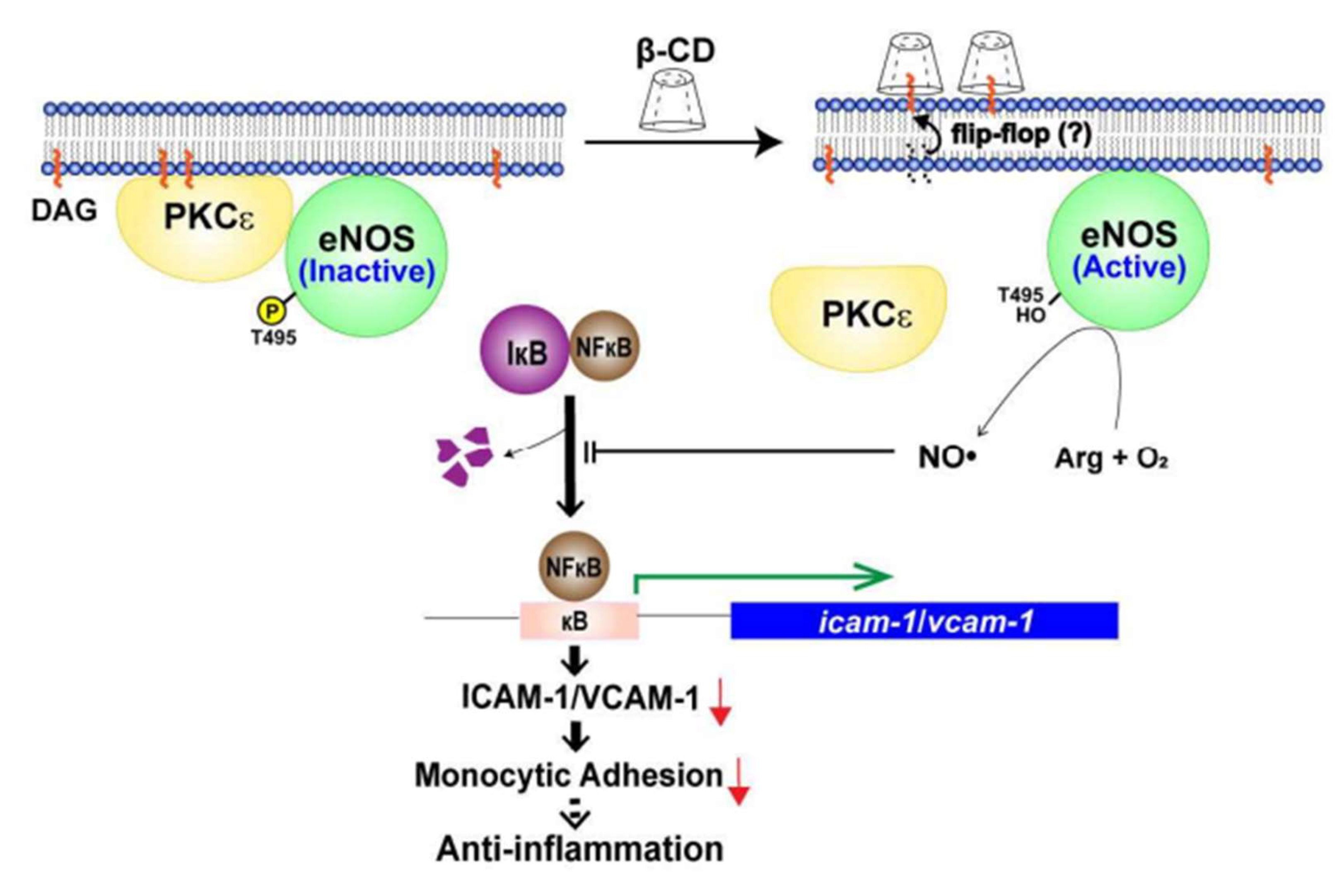 Molecules 25 03575 g006 Molecules 25 03575 g006