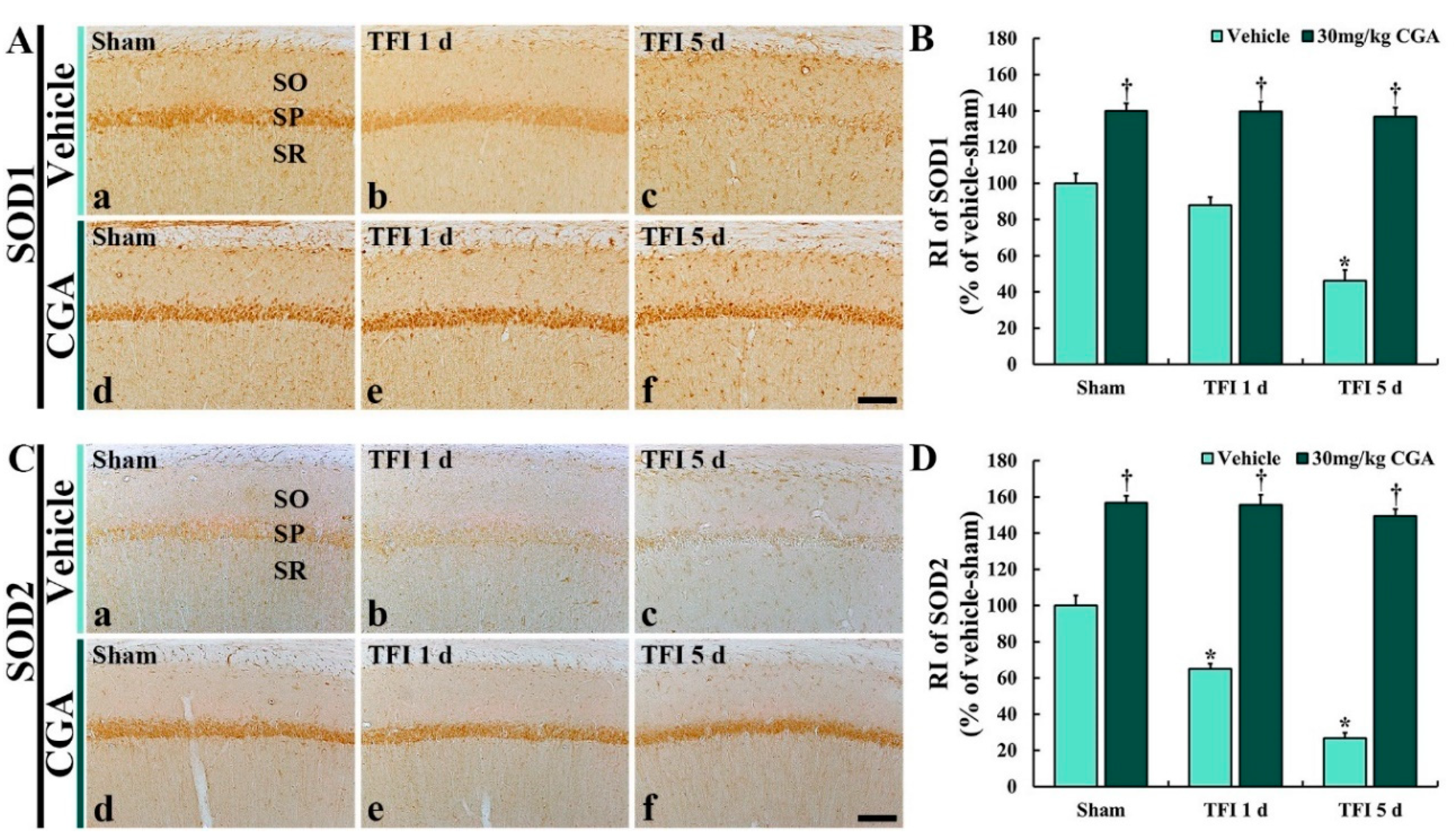 Molecules 25 03578 g005 Molecules 25 03578 g005