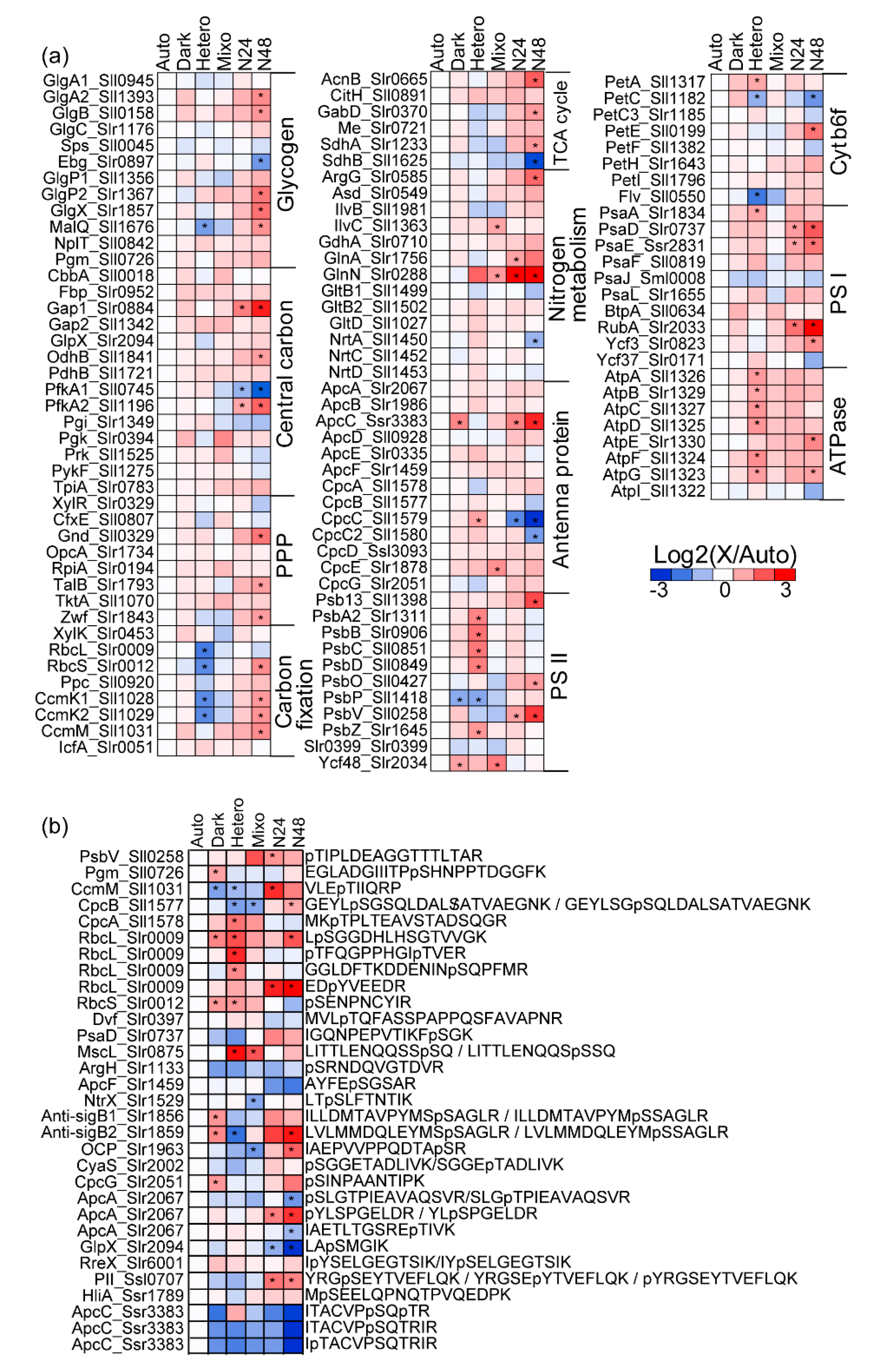 Molecules 25 03582 g002 Molecules 25 03582 g002