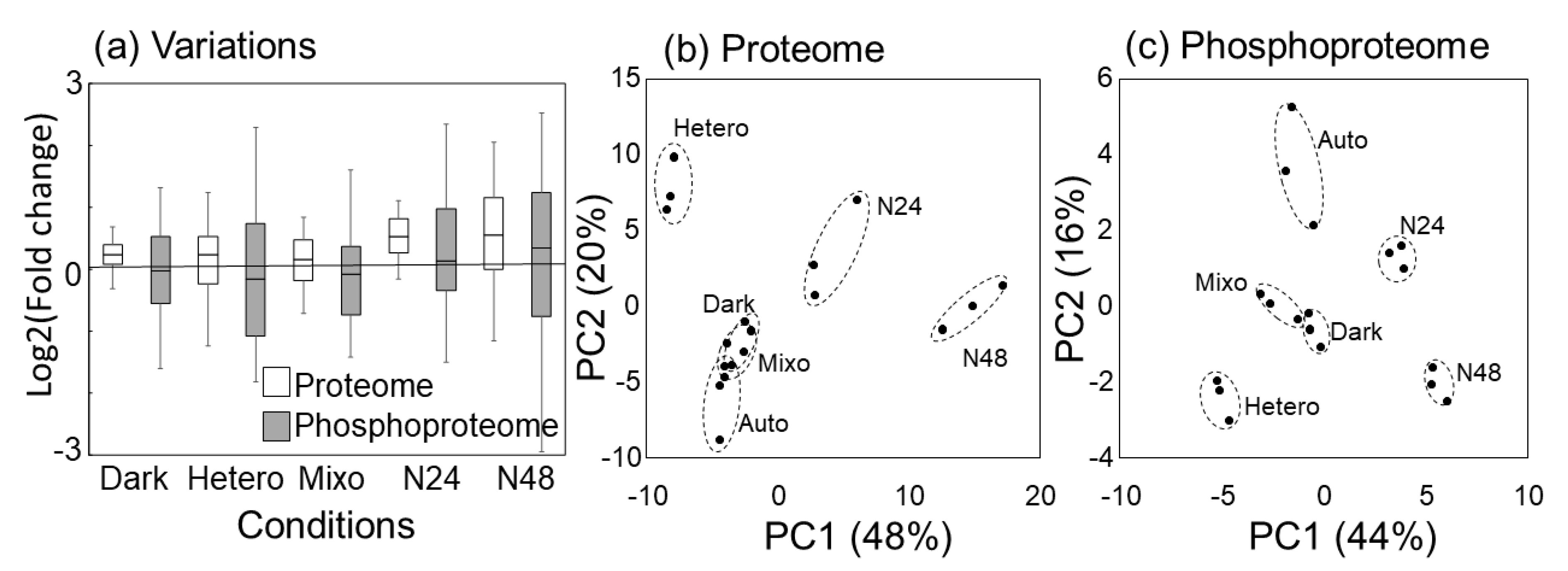 Molecules 25 03582 g003 Molecules 25 03582 g003