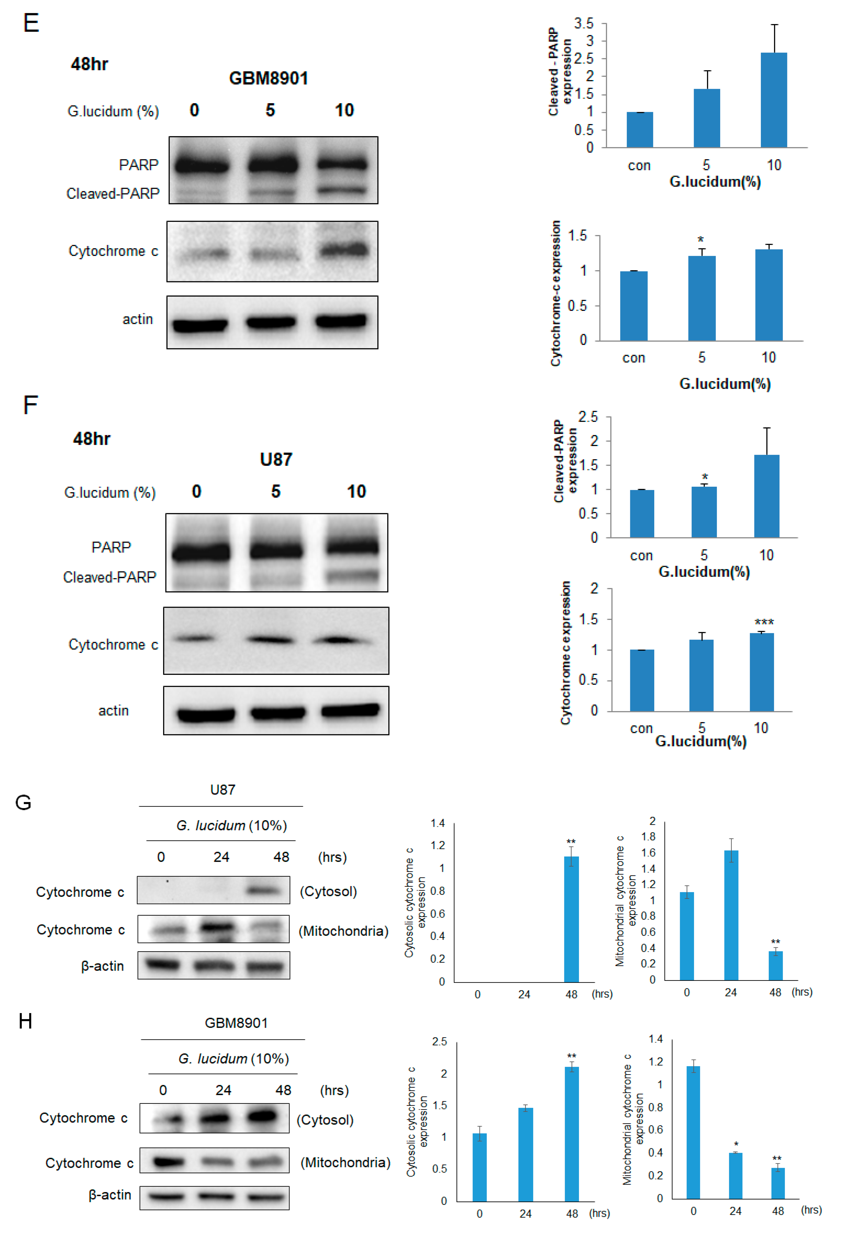 Molecules 25 03585 g002b