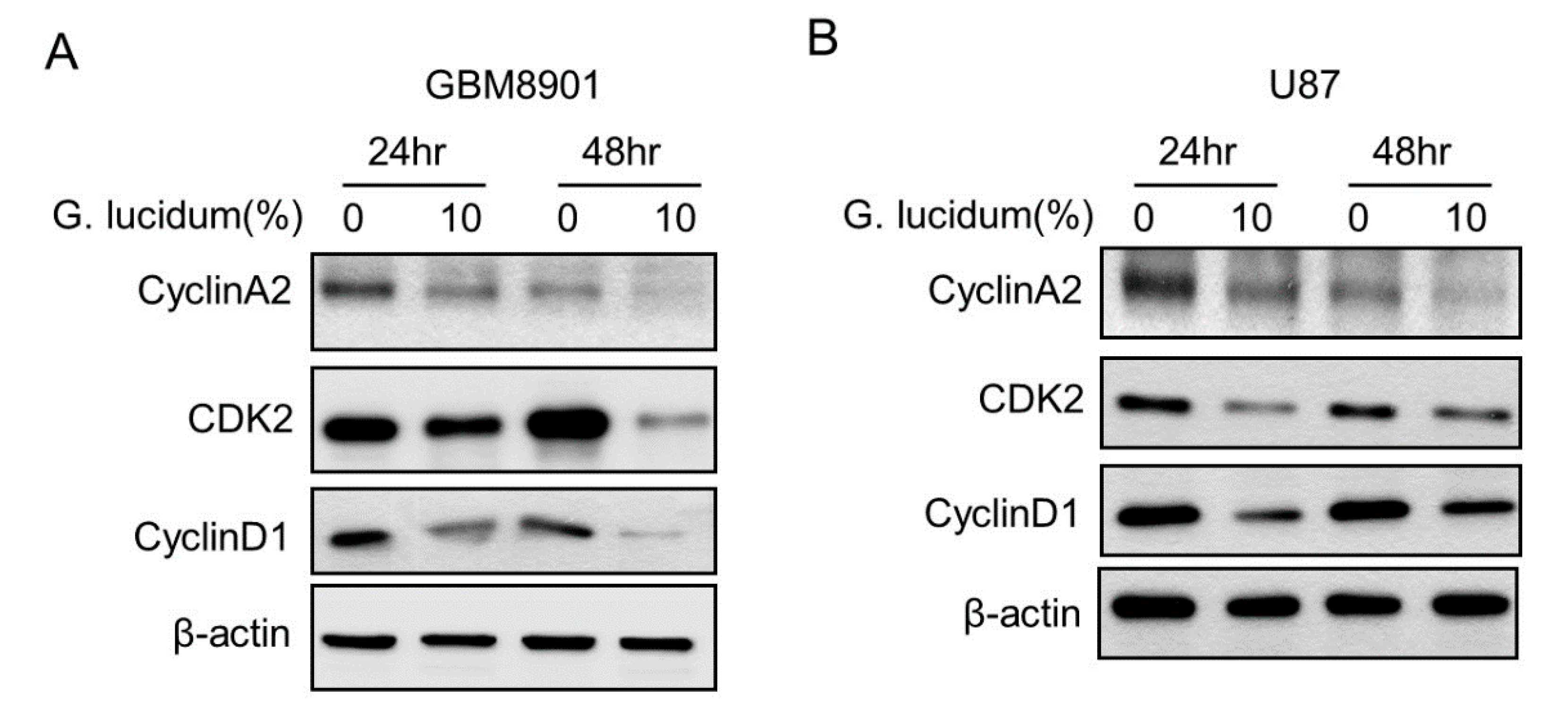Molecules 25 03585 g004a