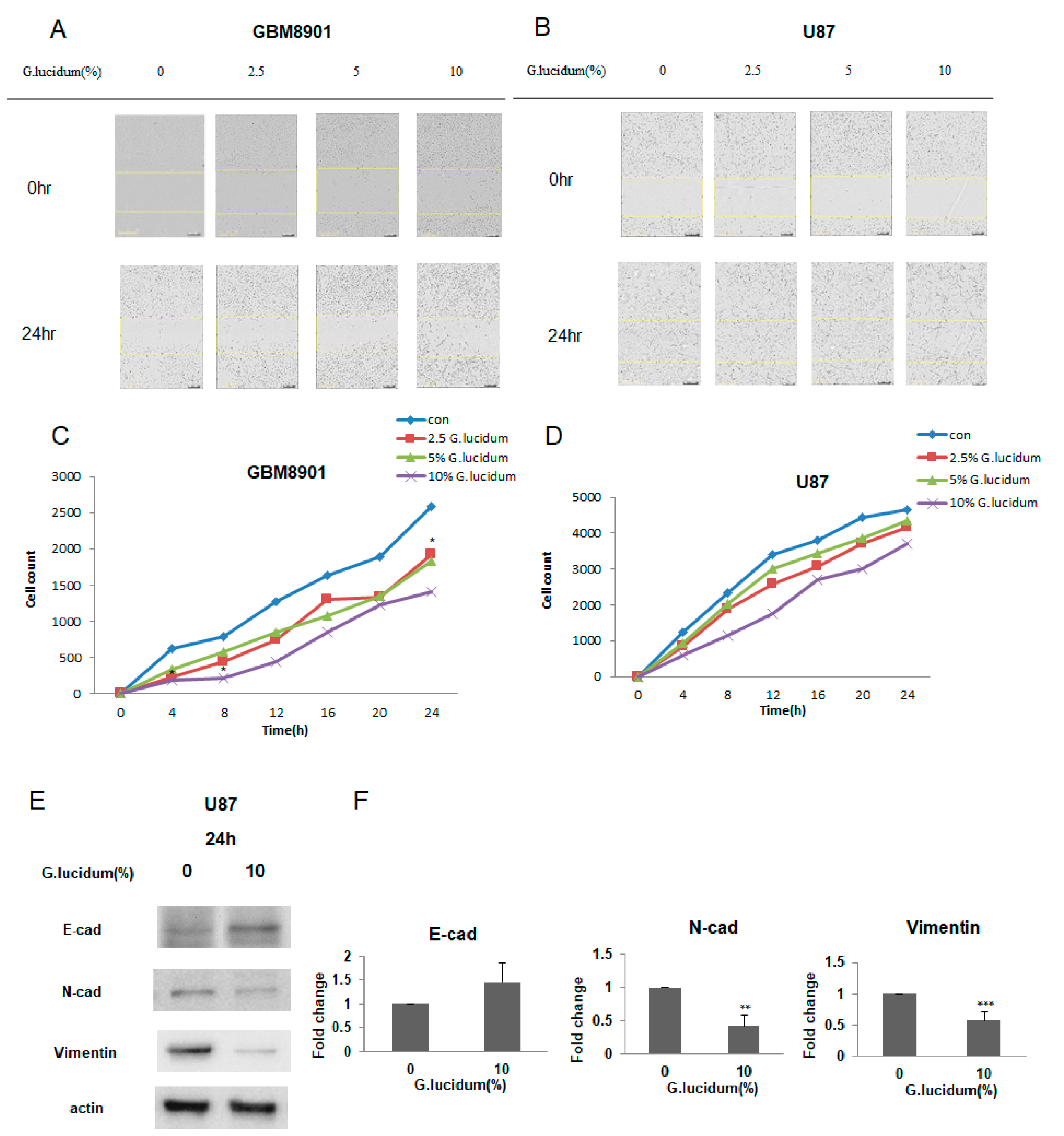 Molecules 25 03585 g005