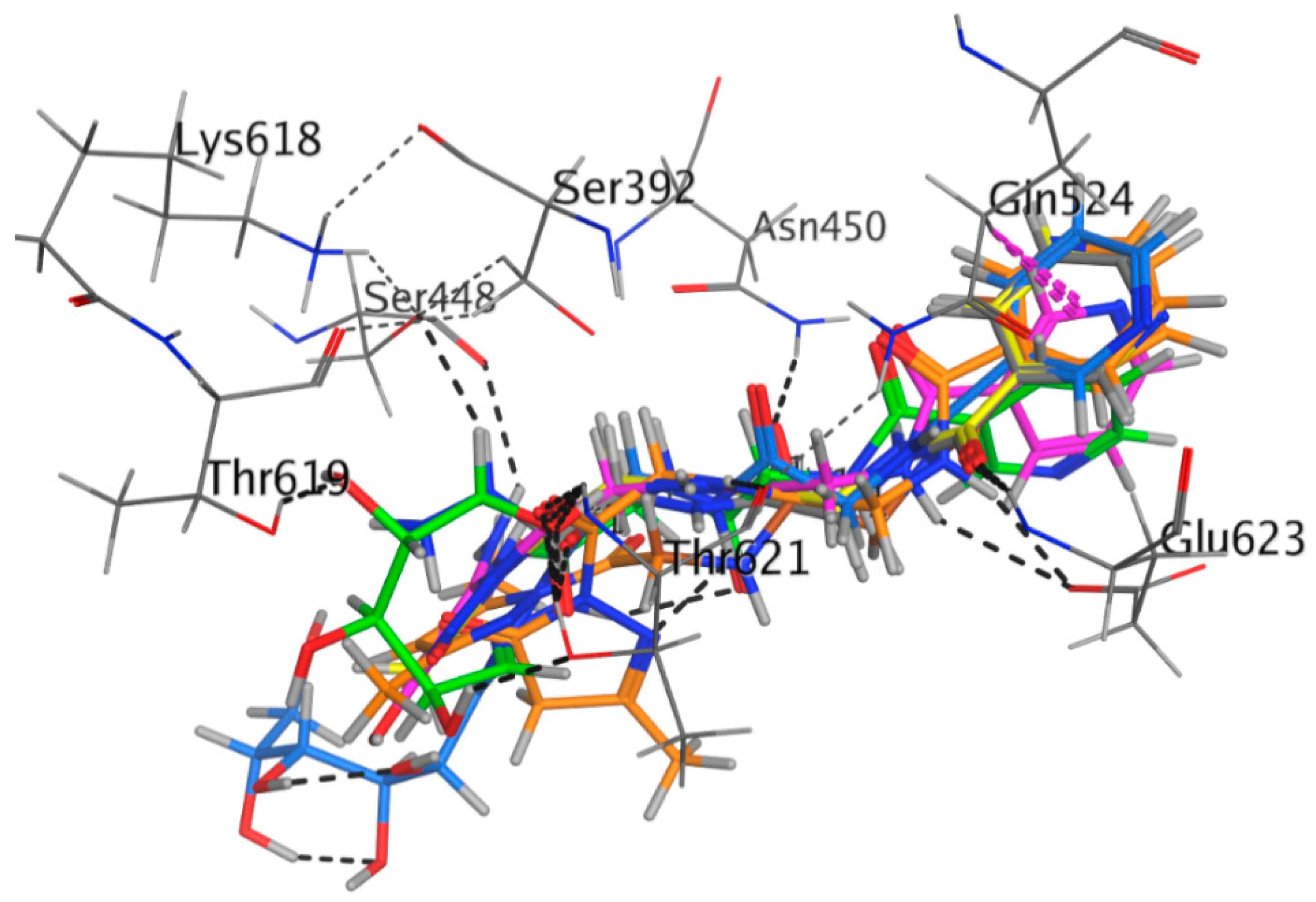 Molecules 25 03589 g001