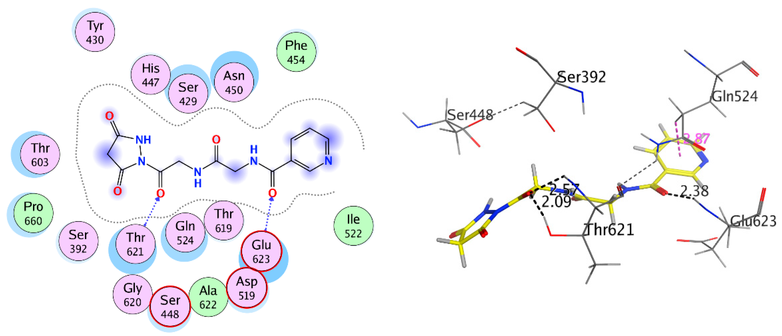 Molecules 25 03589 g005