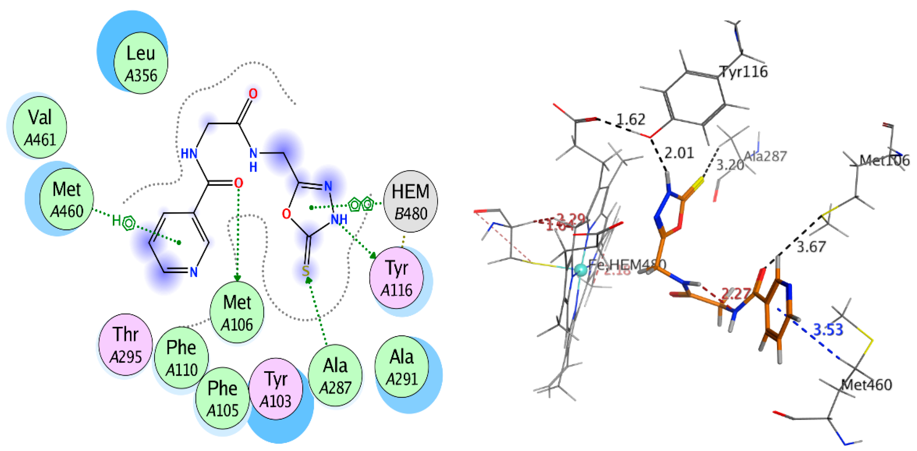 Molecules 25 03589 g007