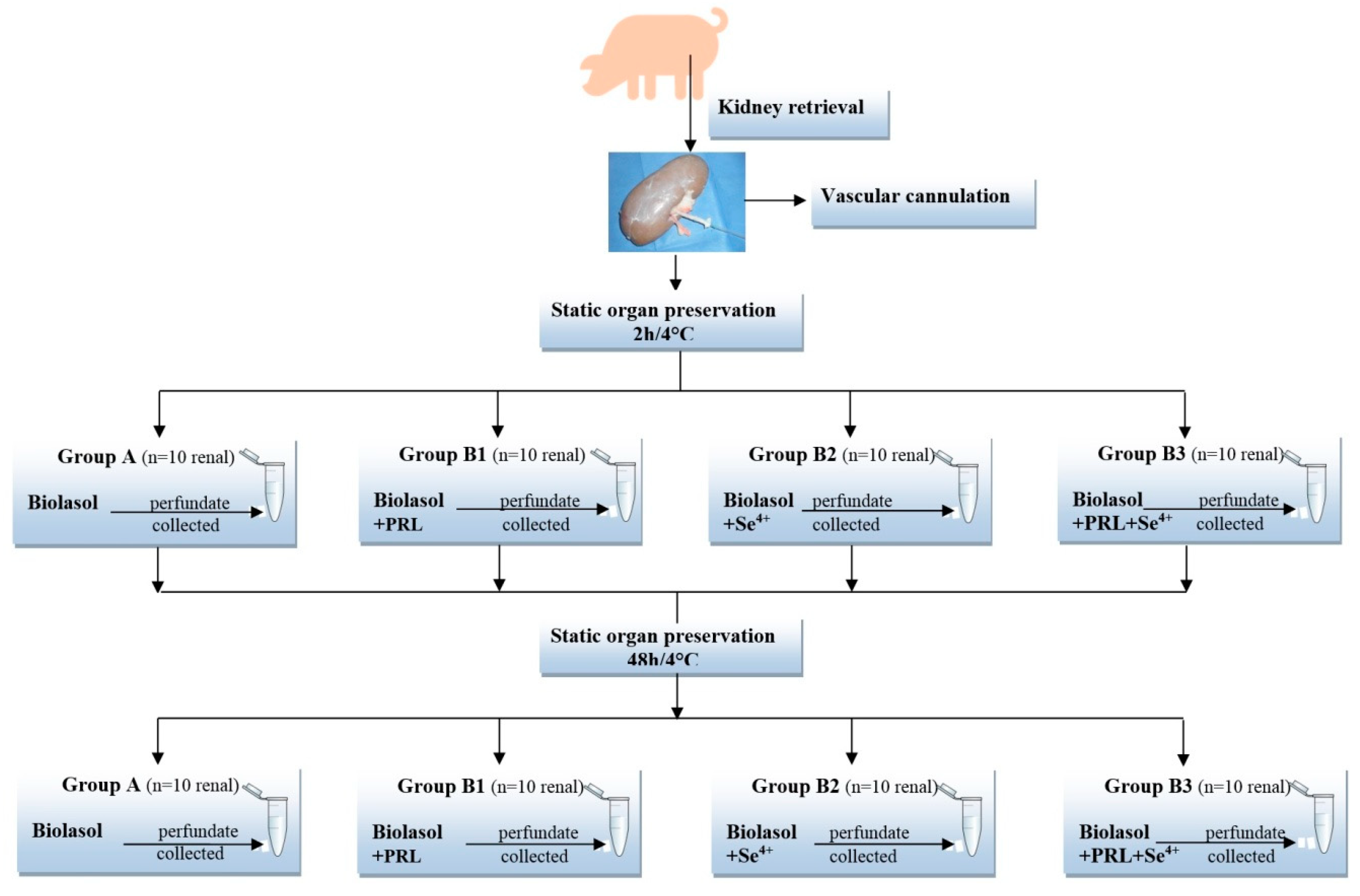 Molecules 25 03592 g006
