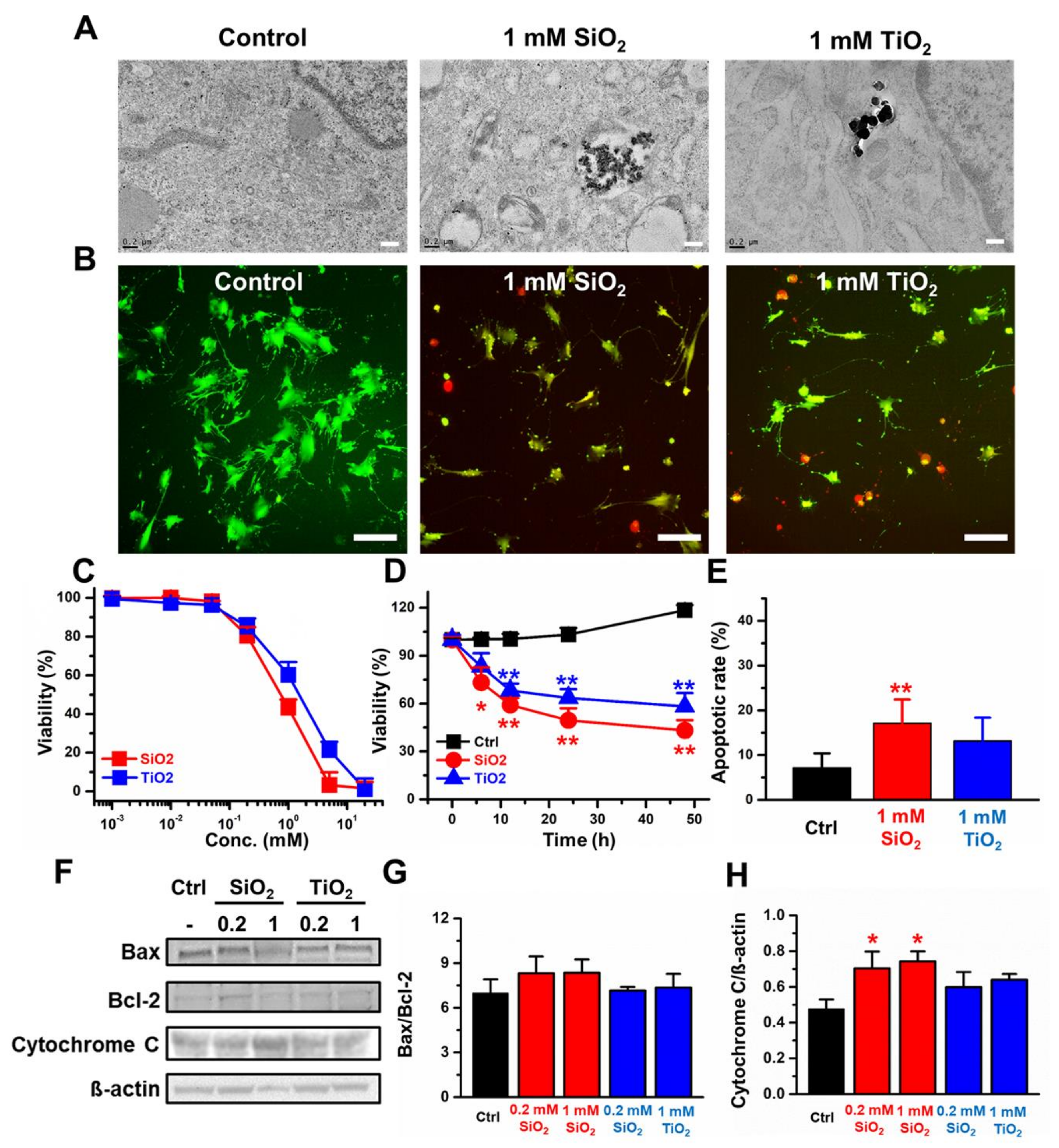 Molecules 25 03594 g002