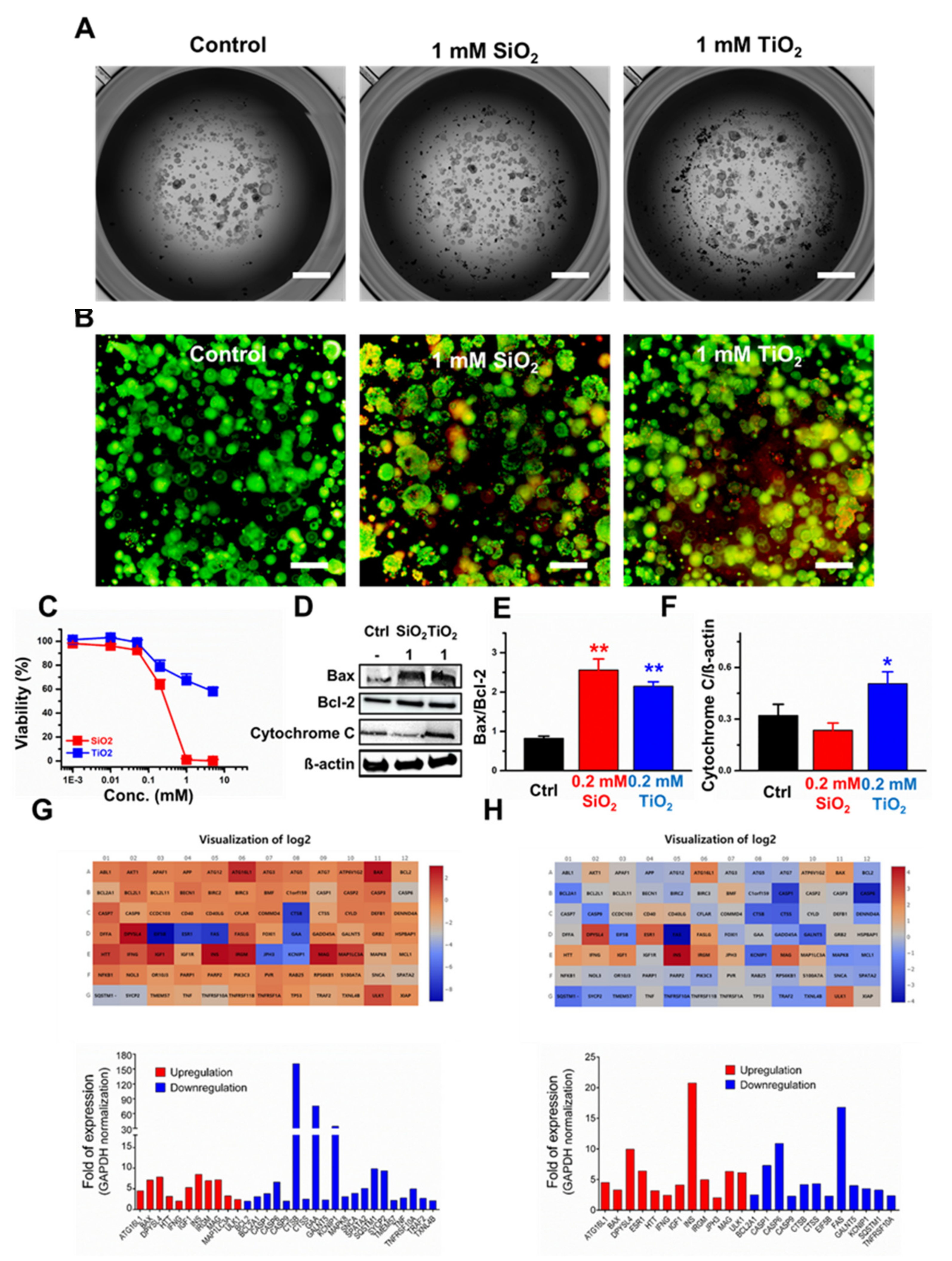 Molecules 25 03594 g005