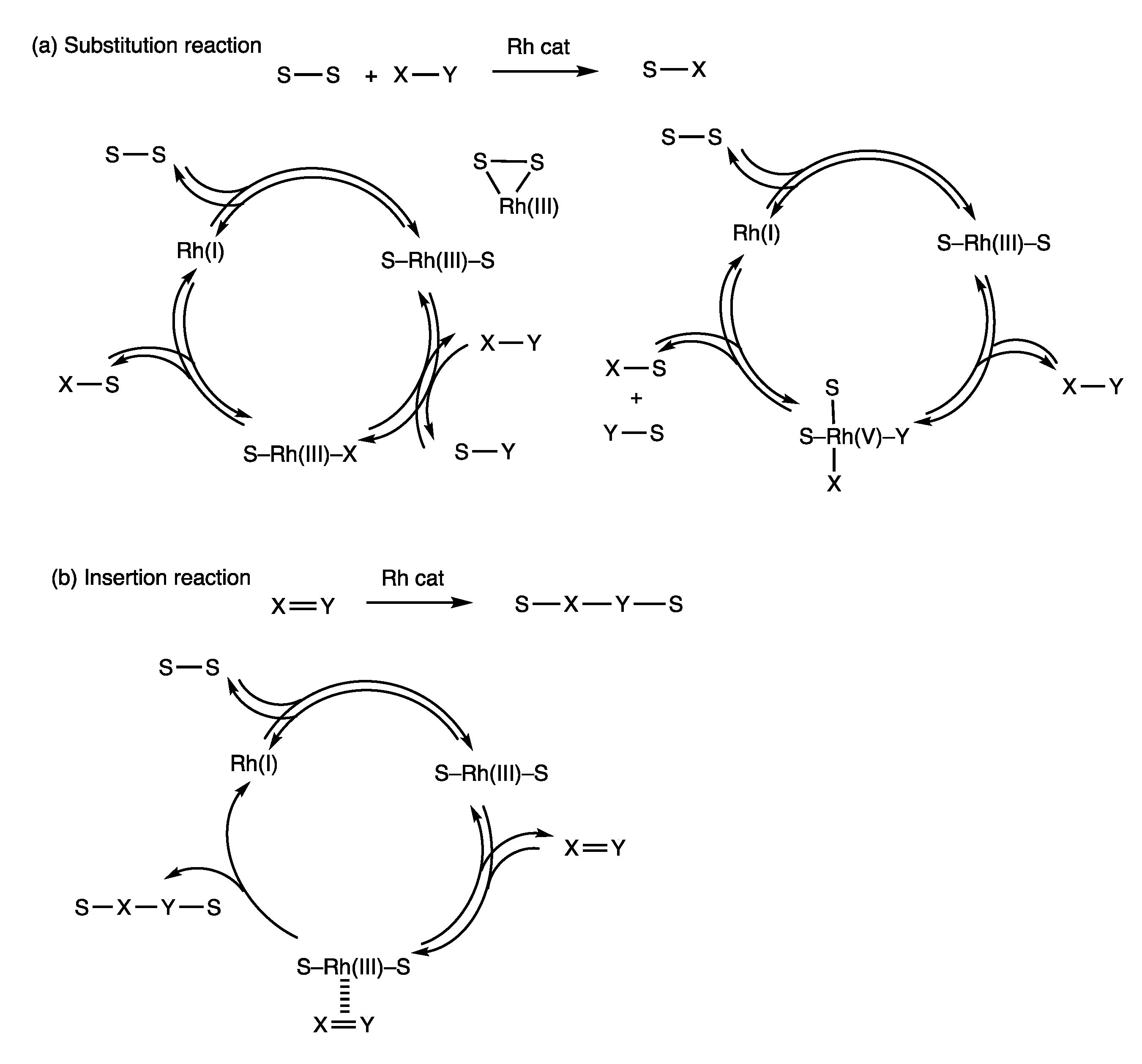 Molecules 25 03595 g007 Molecules 25 03595 g007