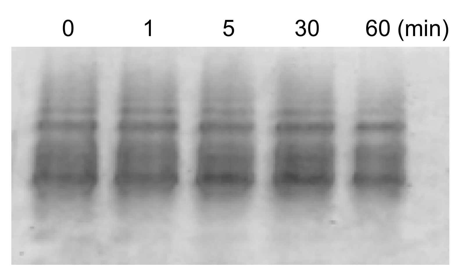 Molecules 25 03600 g004 Molecules 25 03600 g004