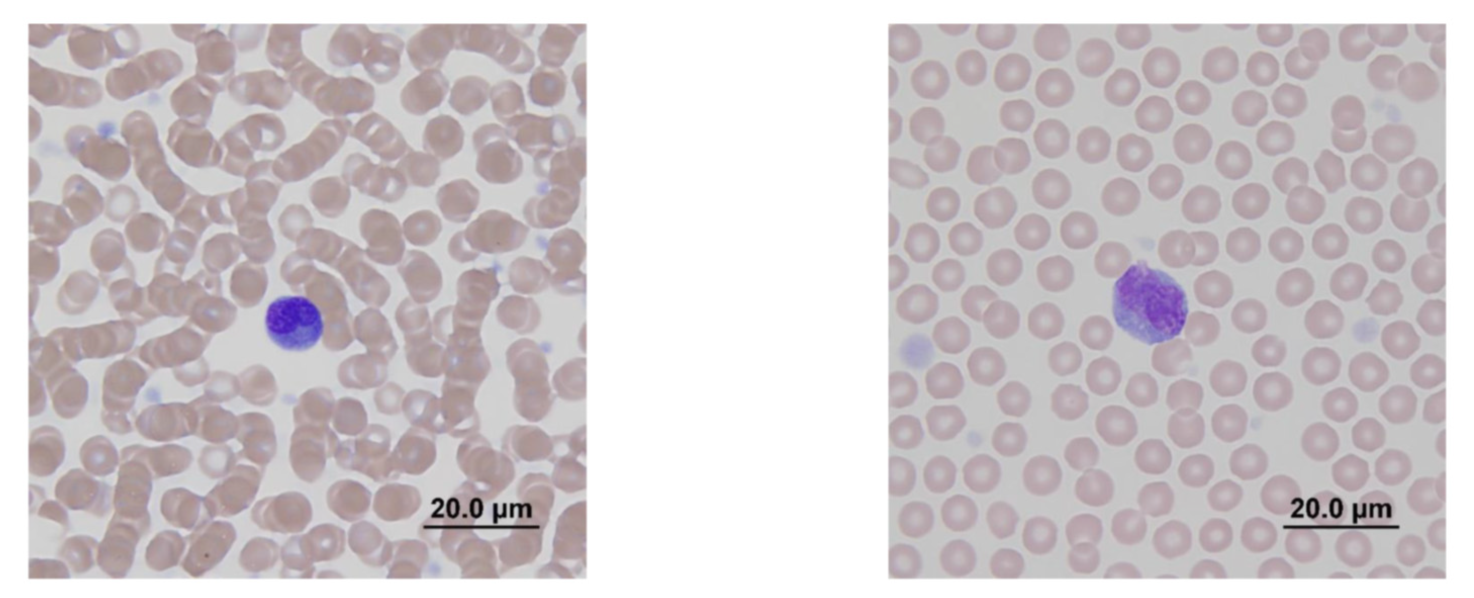 Molecules 25 03604 g002 Molecules 25 03604 g002