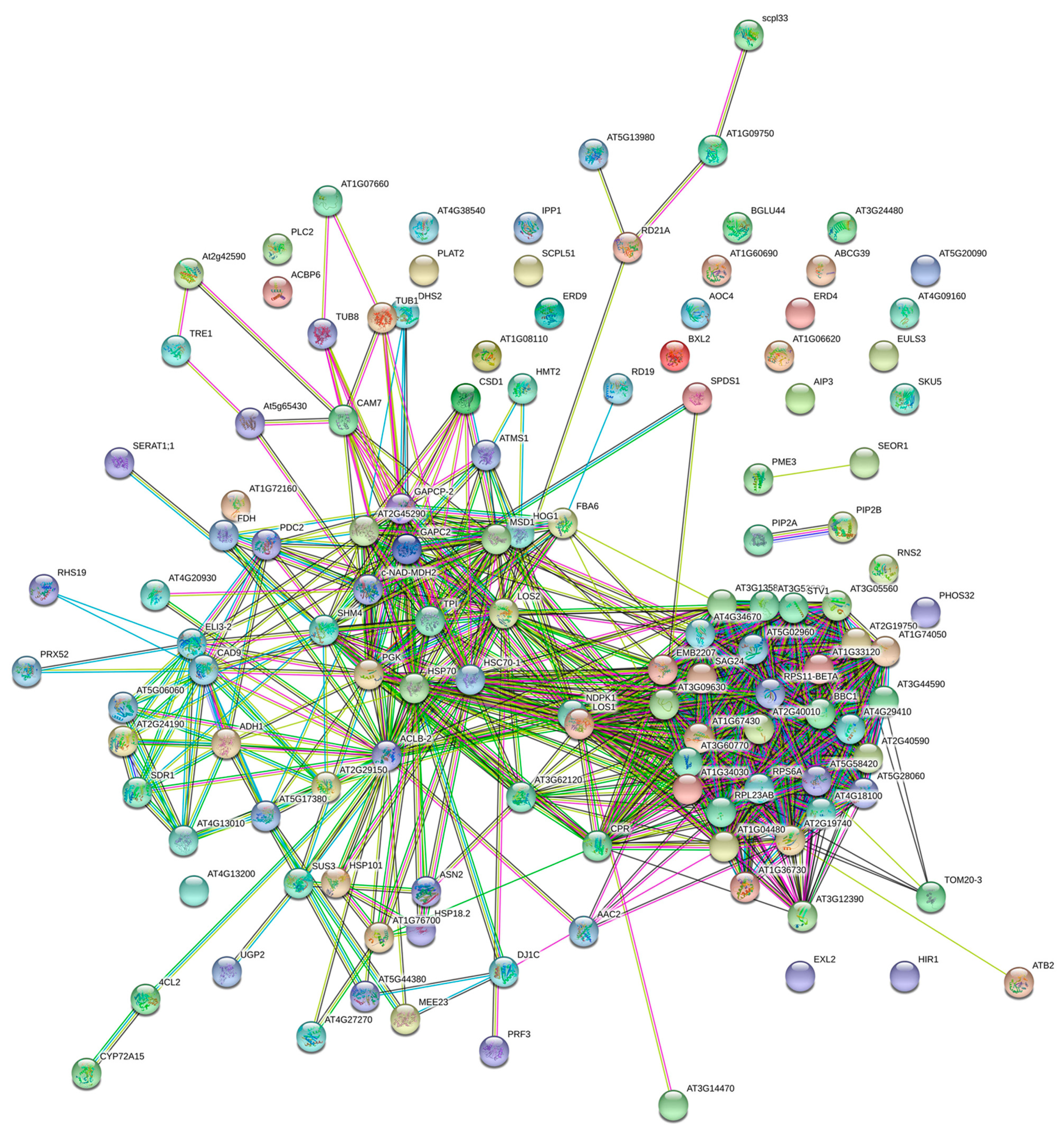 Molecules 25 03605 g005 Molecules 25 03605 g005