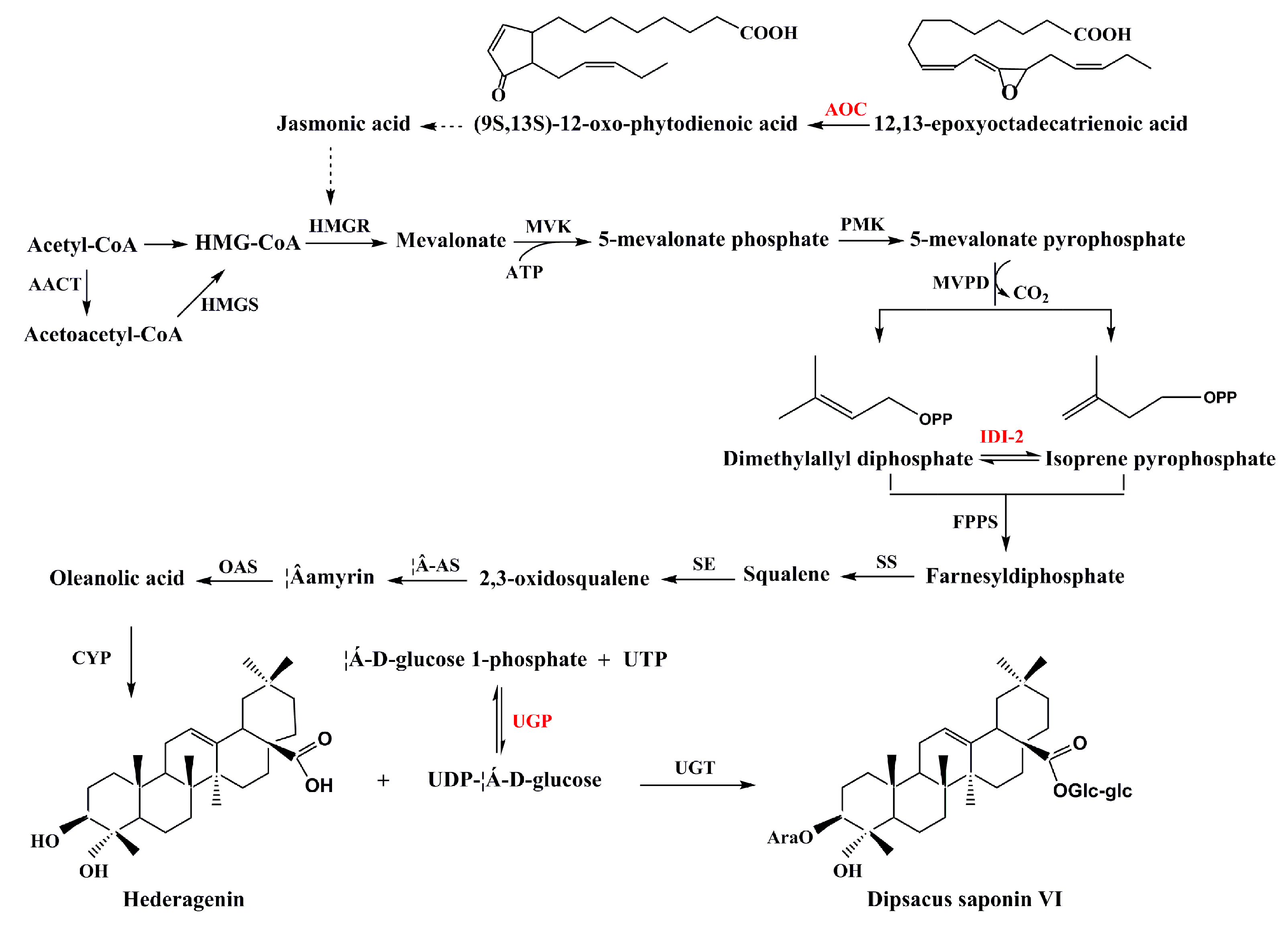 Molecules 25 03605 g007 Molecules 25 03605 g007