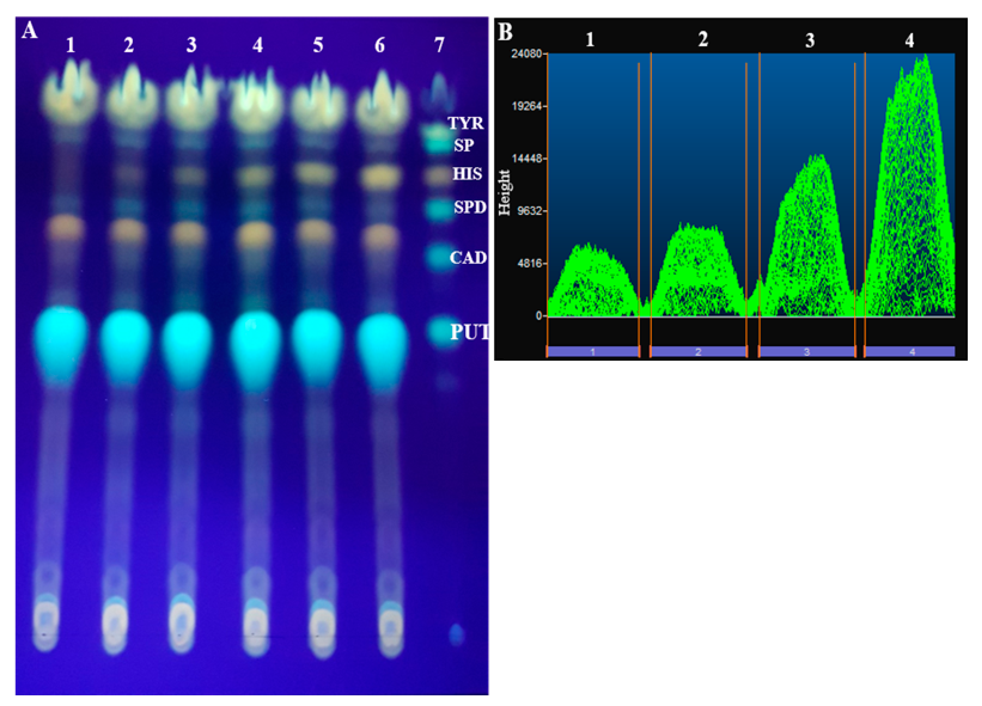 Molecules Free FullText Development and Validation of a TLC