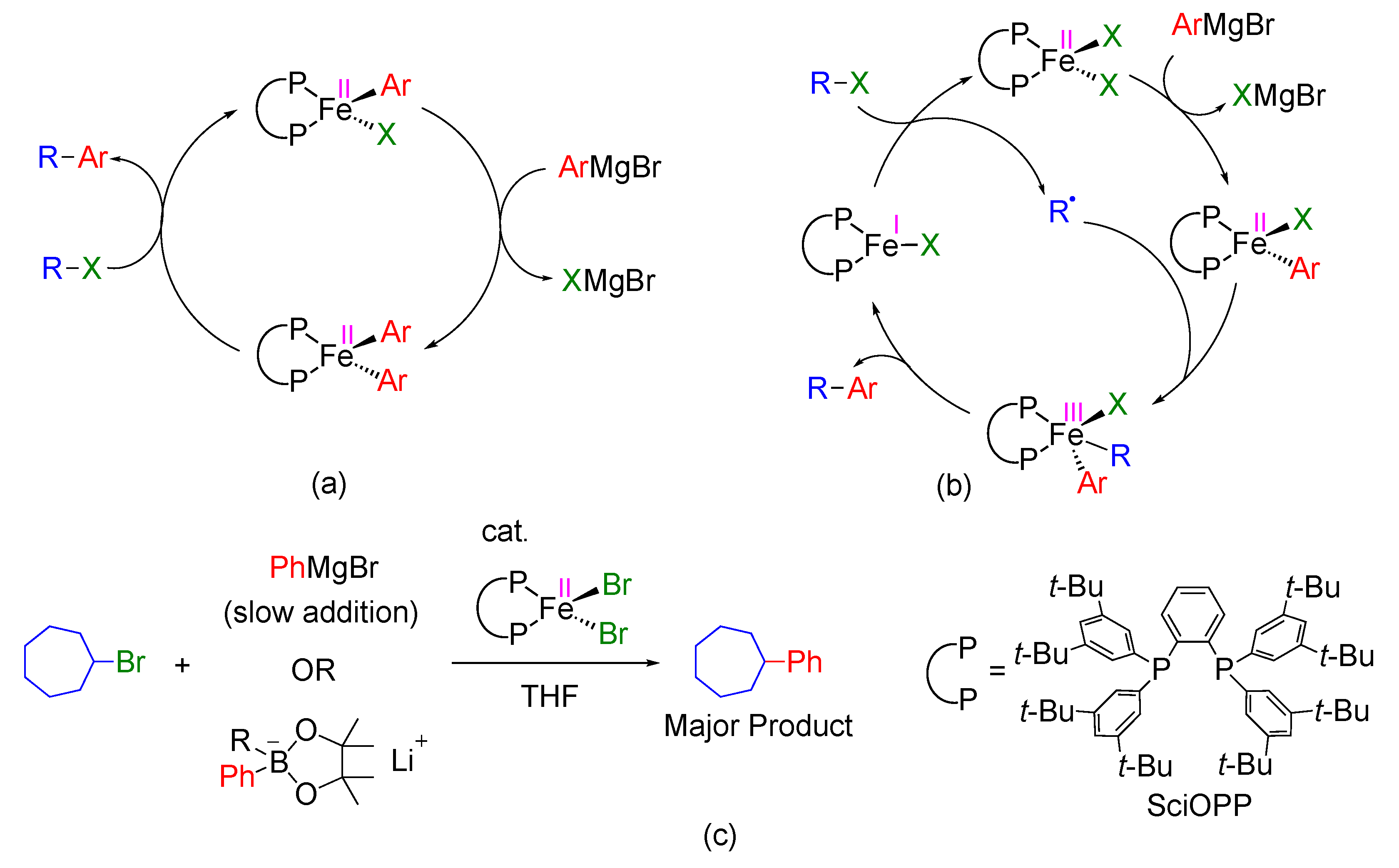 Molecules 25 03612 g001 Molecules 25 03612 g001