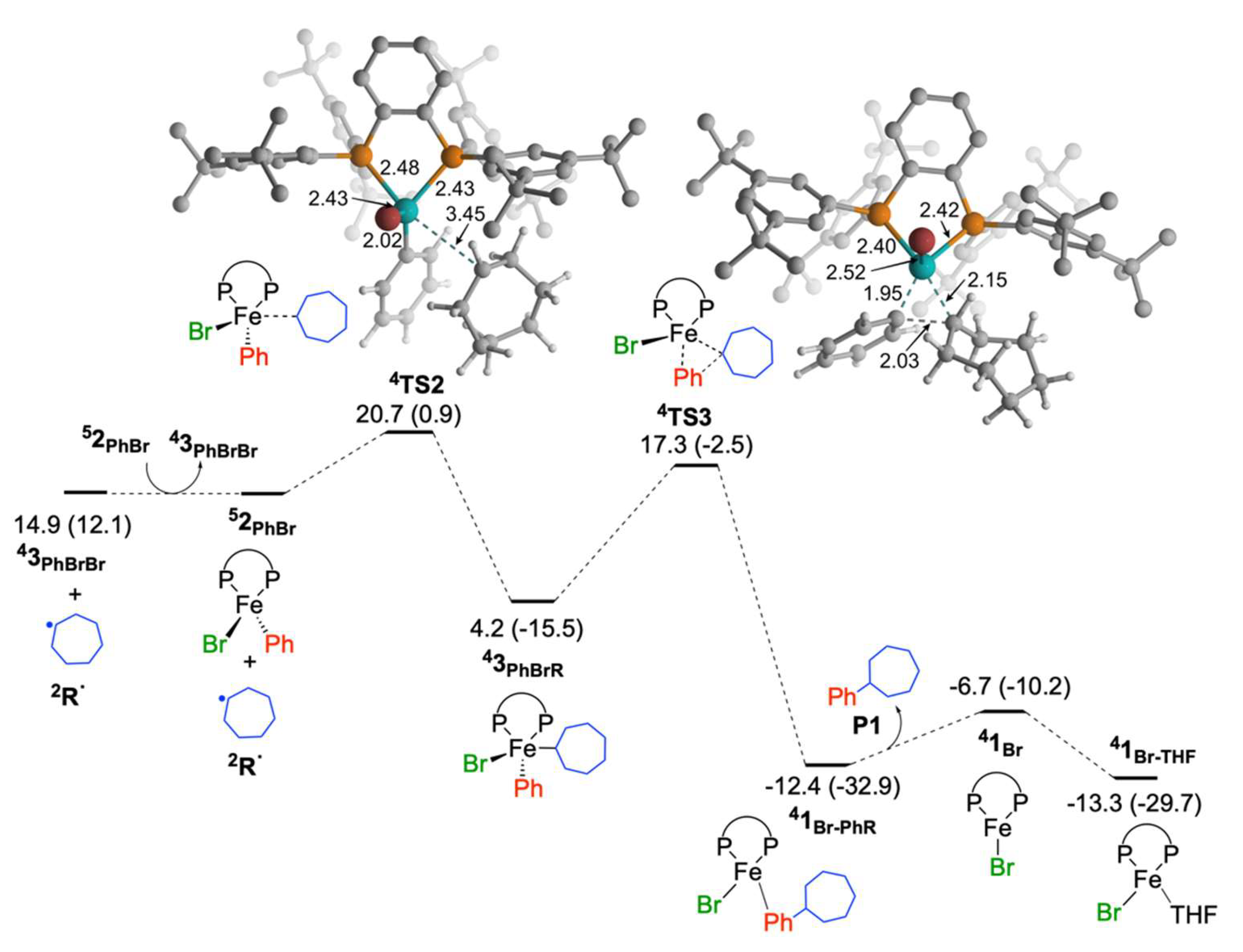 Molecules 25 03612 g003 Molecules 25 03612 g003