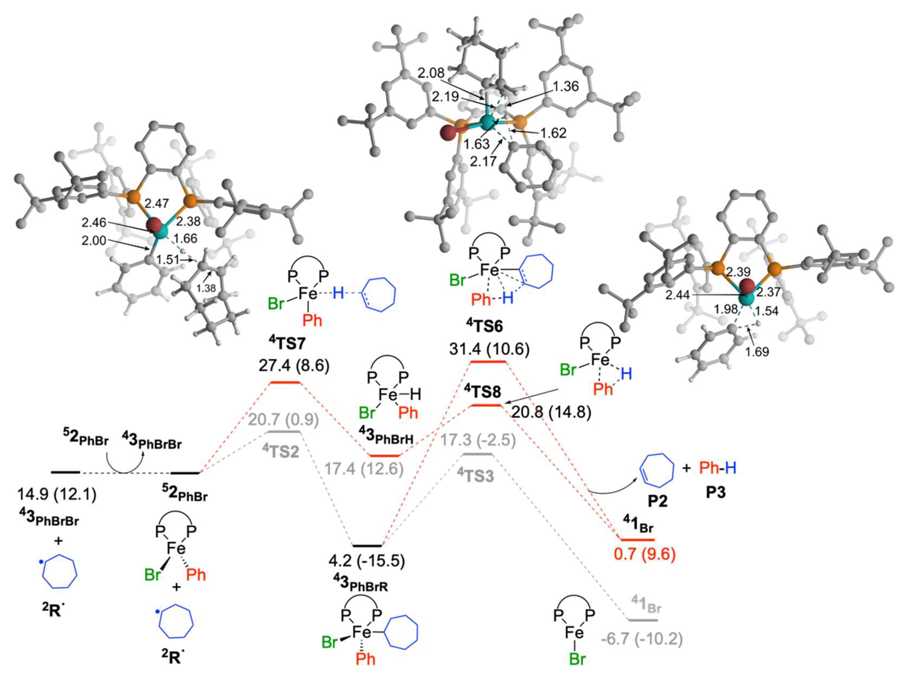 Molecules 25 03612 g004 Molecules 25 03612 g004