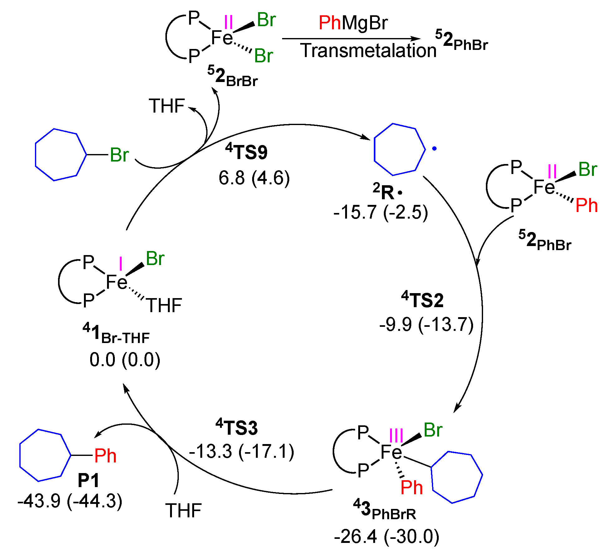 Molecules 25 03612 g006 Molecules 25 03612 g006