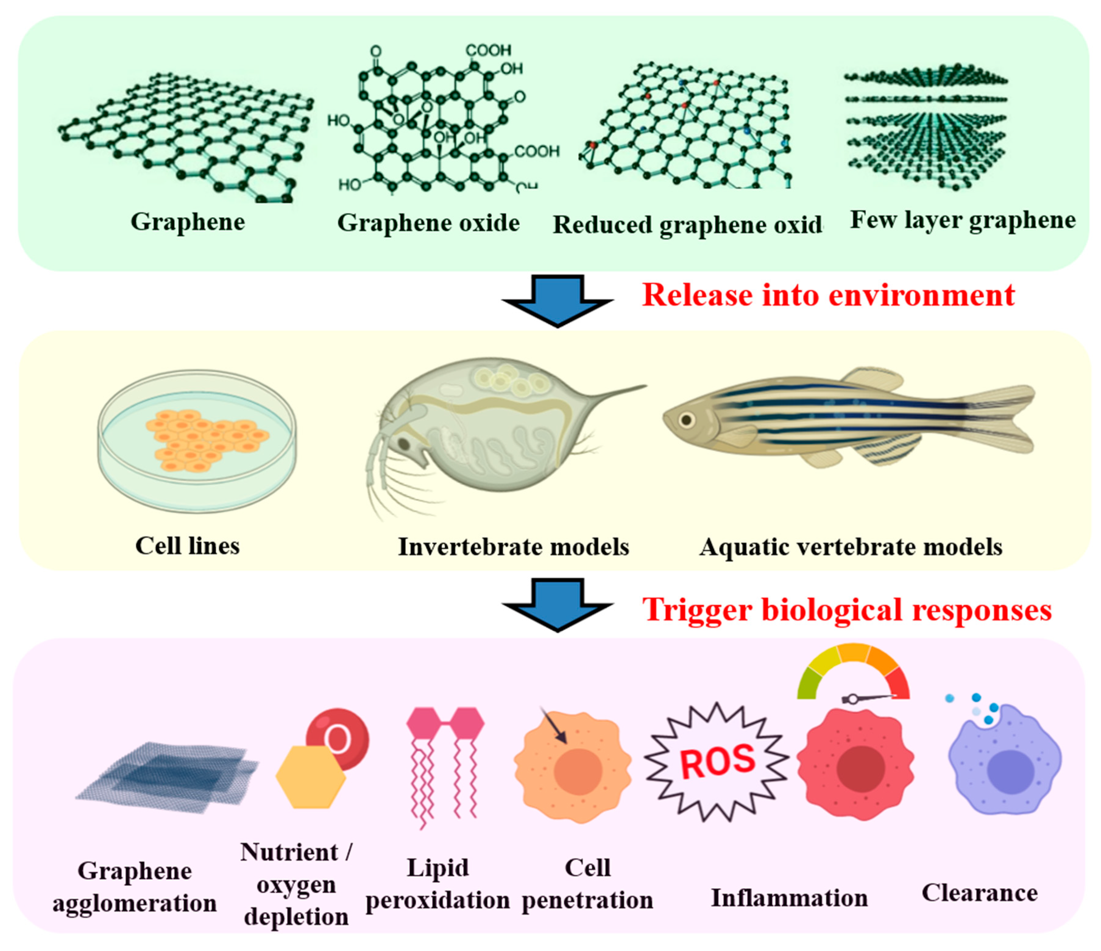 Molecules 25 03618 g002