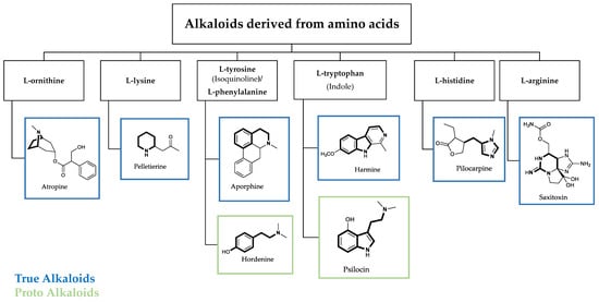 Molecules Free Full Text Naturally Occurring Alkaloids Of Plant Origin As Potential Antimicrobials Against Antibiotic Resistant Infections Html