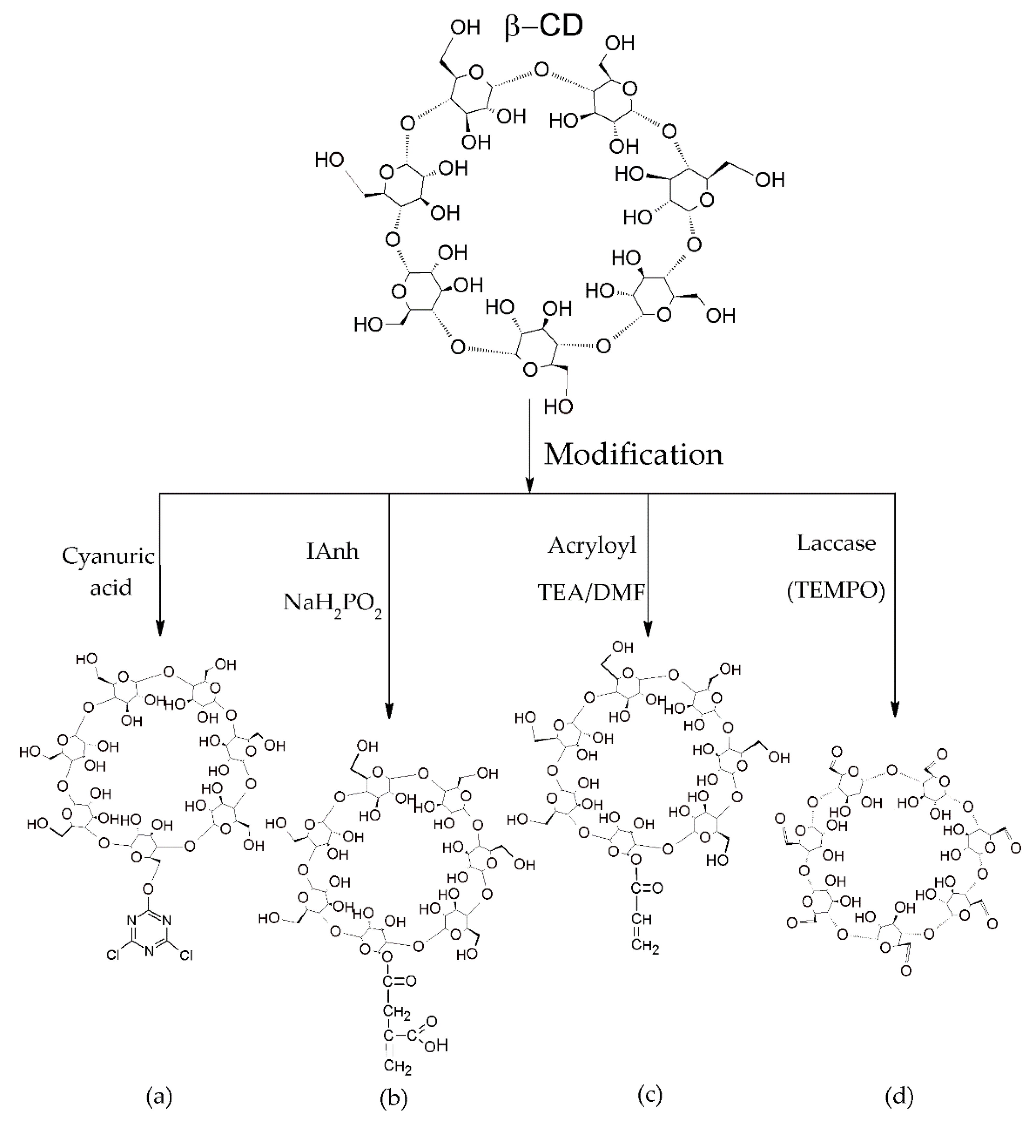 Molecules 25 03624 g005 Molecules 25 03624 g005