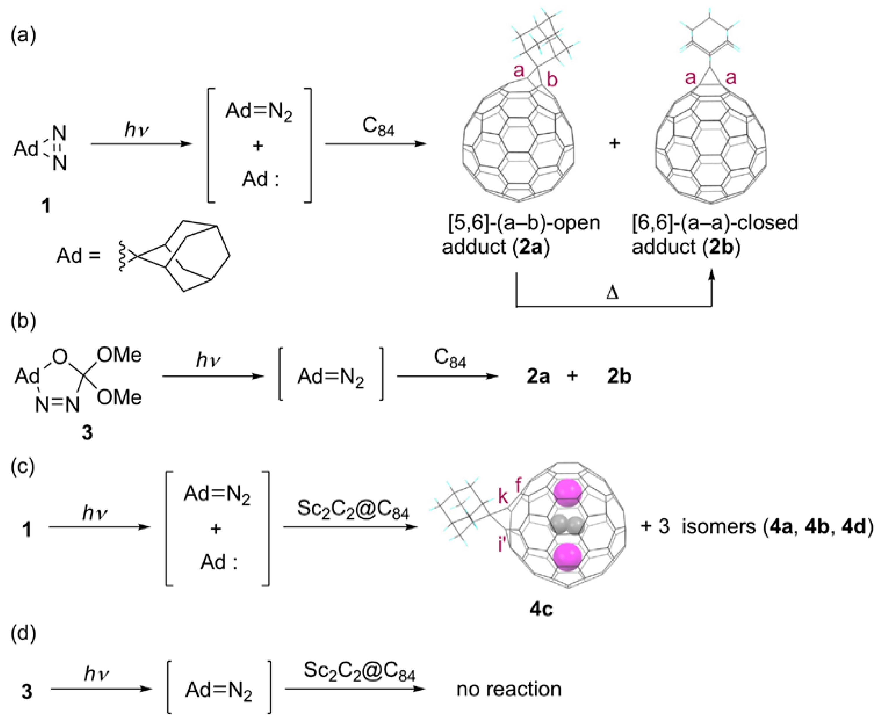 Molecules 25 03626 g001 Molecules 25 03626 g001