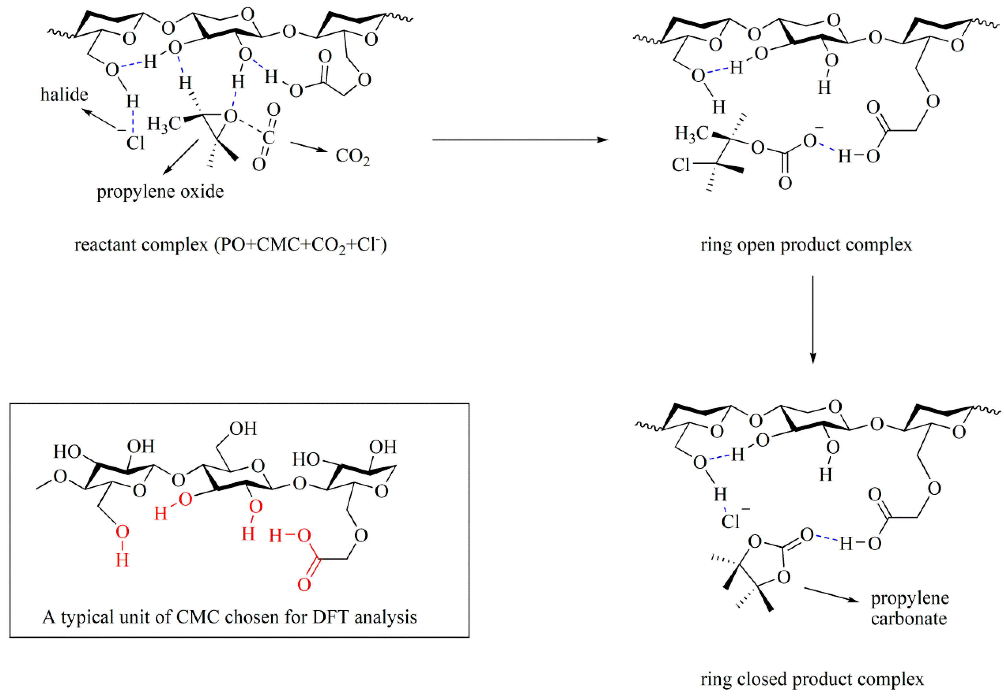 Molecules 25 03627 sch005 Molecules 25 03627 sch005
