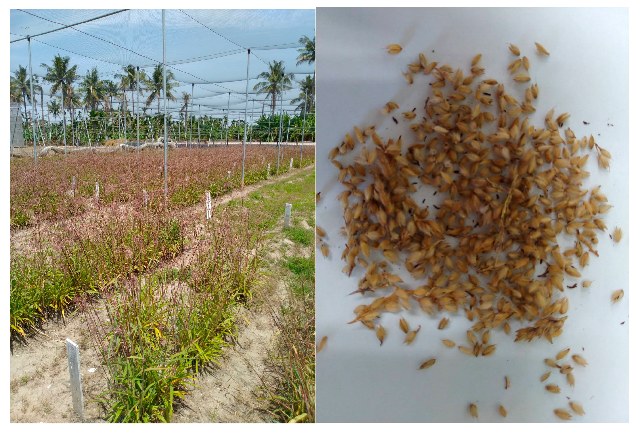 Molecules 25 03632 g001 Molecules 25 03632 g001