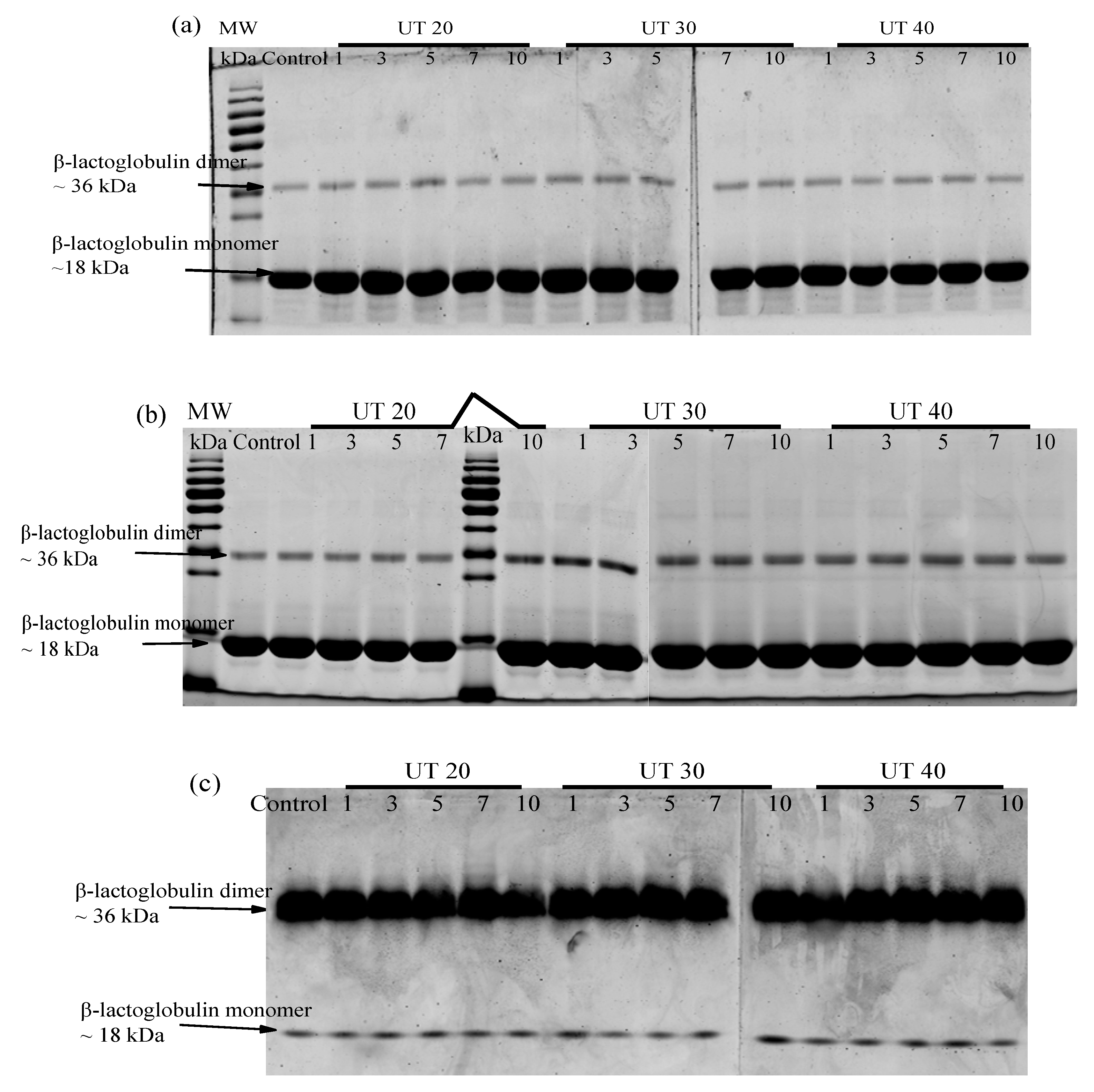 Molecules 25 03637 g005 Molecules 25 03637 g005