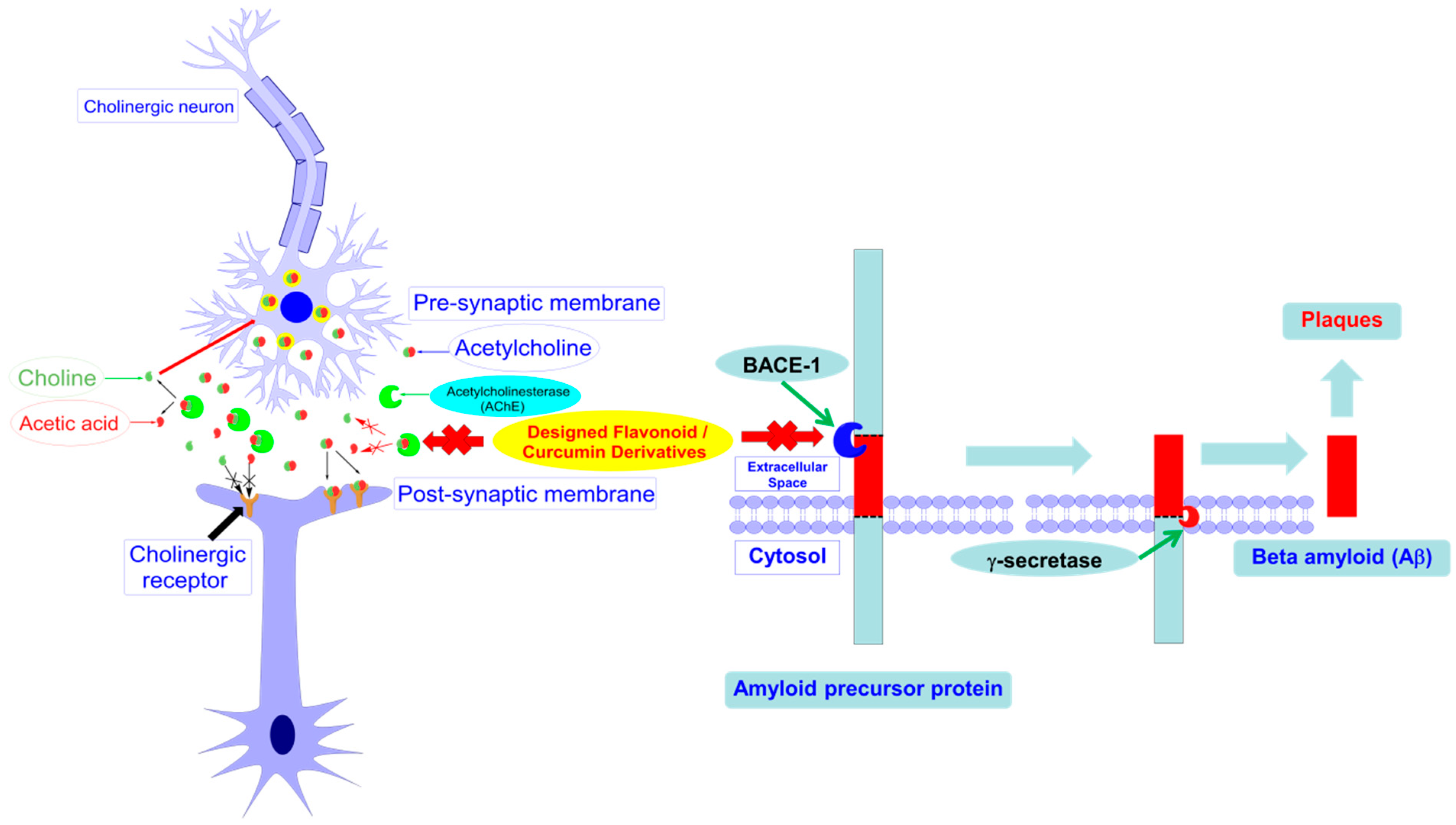 Molecules 25 03644 g001 Molecules 25 03644 g001
