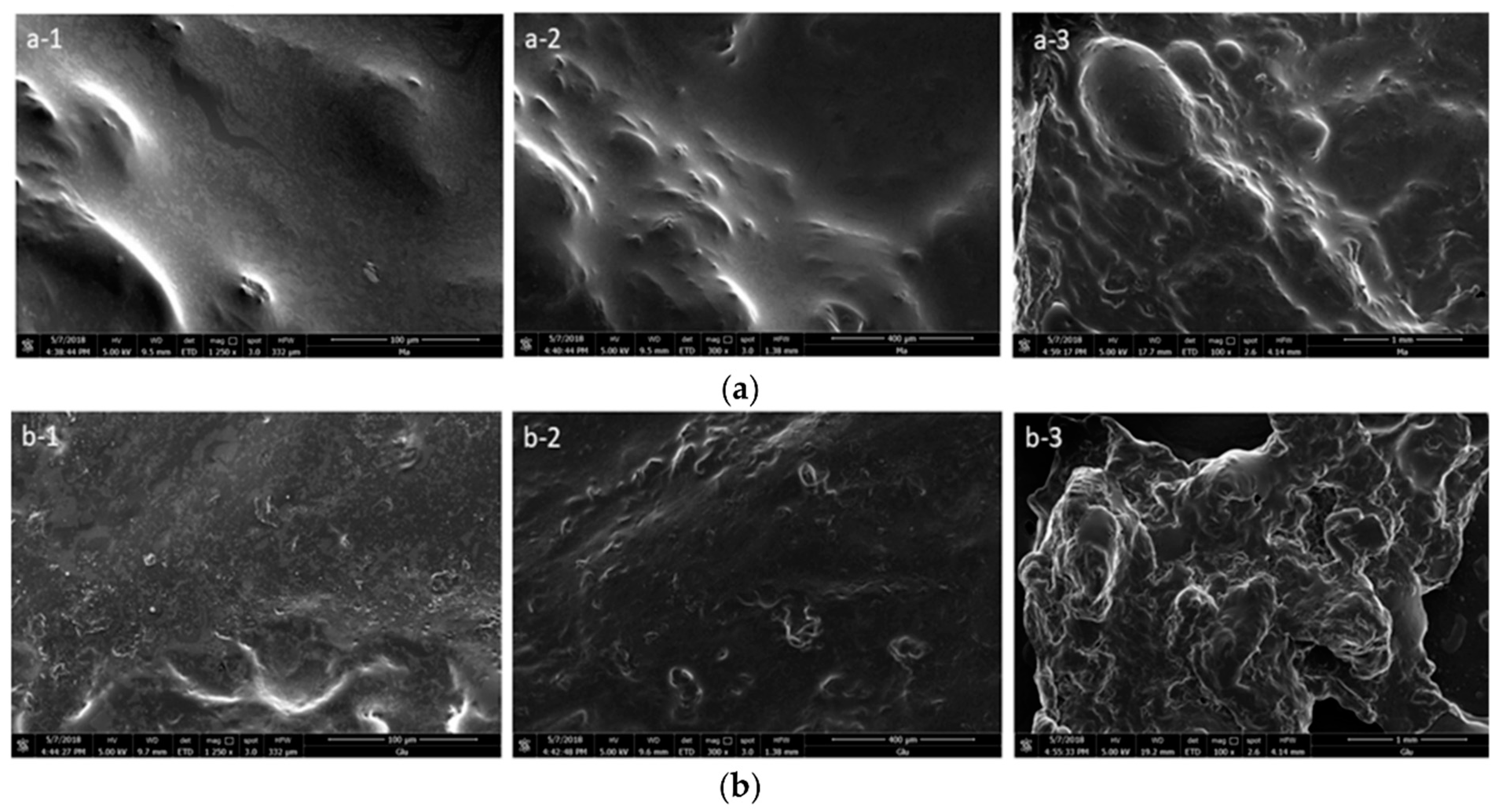 Molecules 25 03652 g009