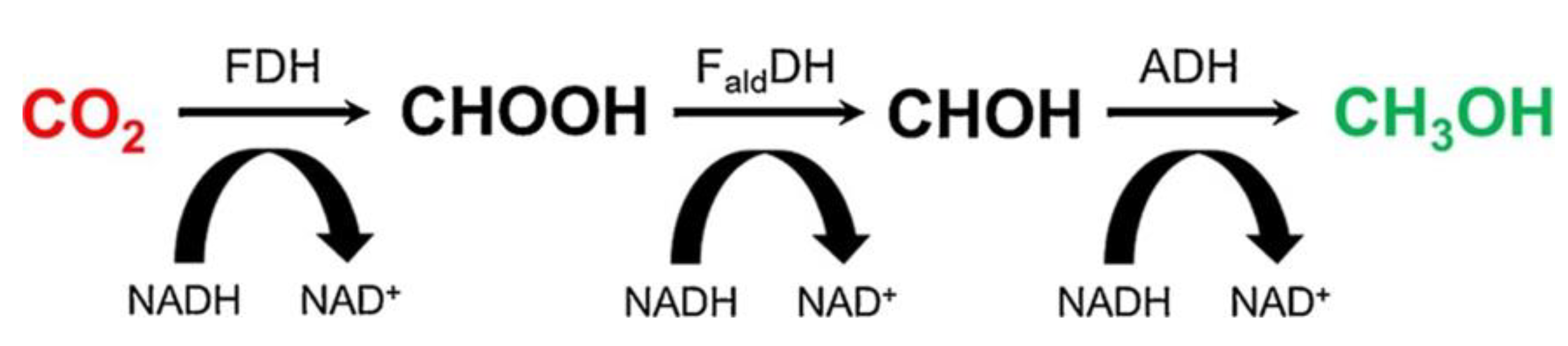 Molecules 25 03653 g006