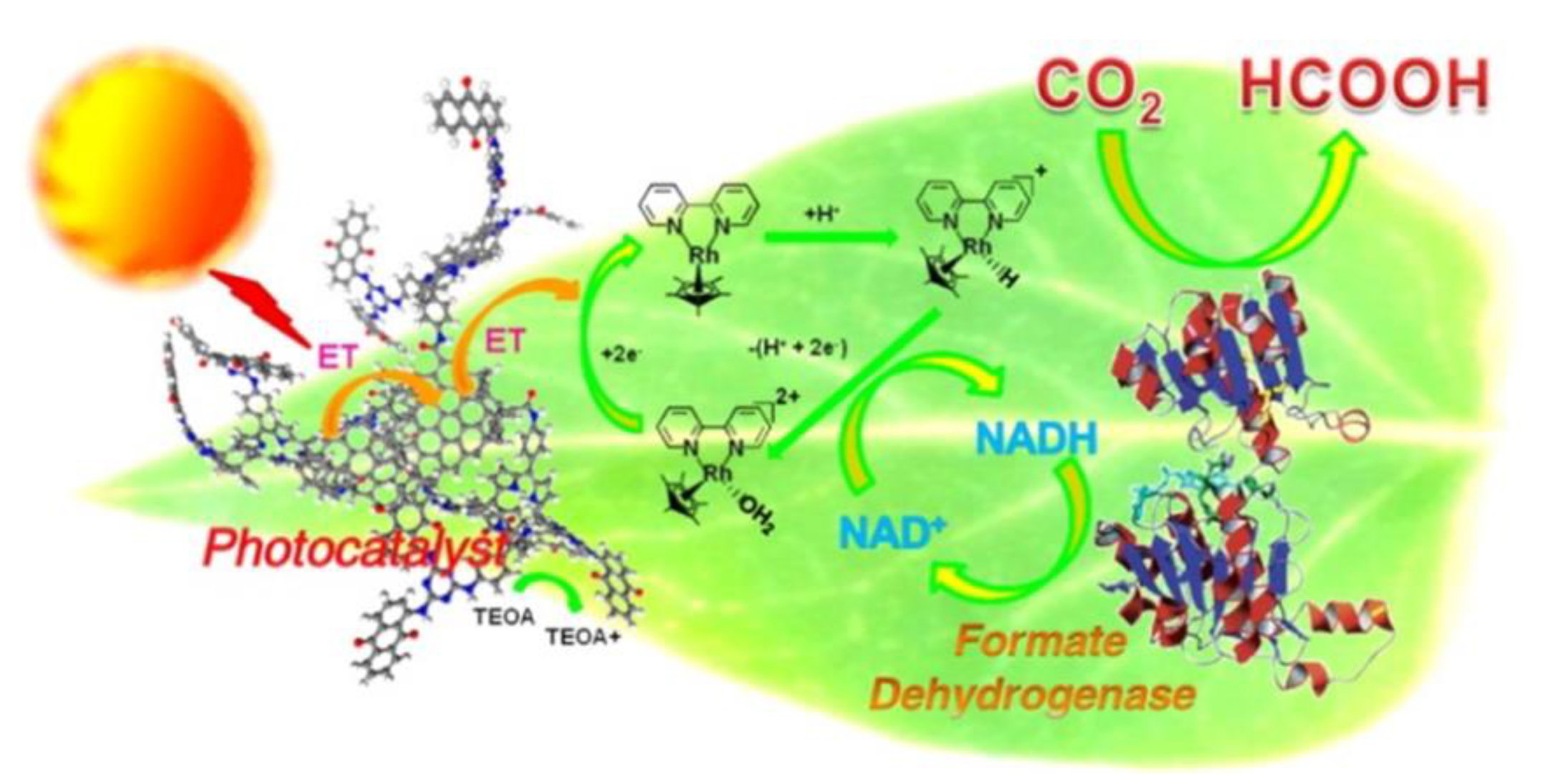 Molecules 25 03653 g007