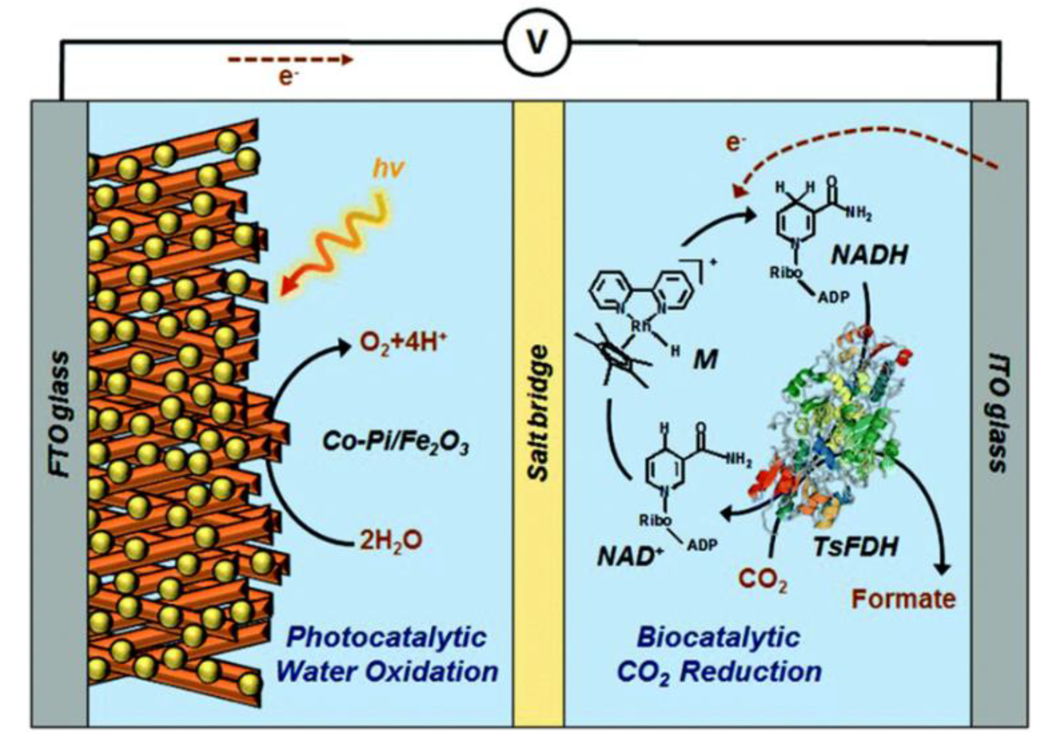 Molecules 25 03653 g008