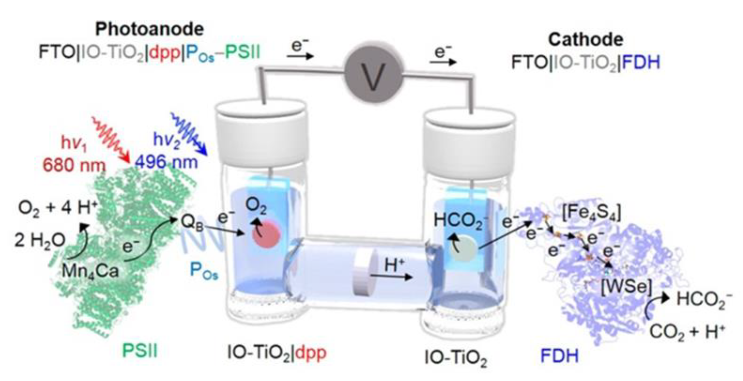 Molecules 25 03653 g009