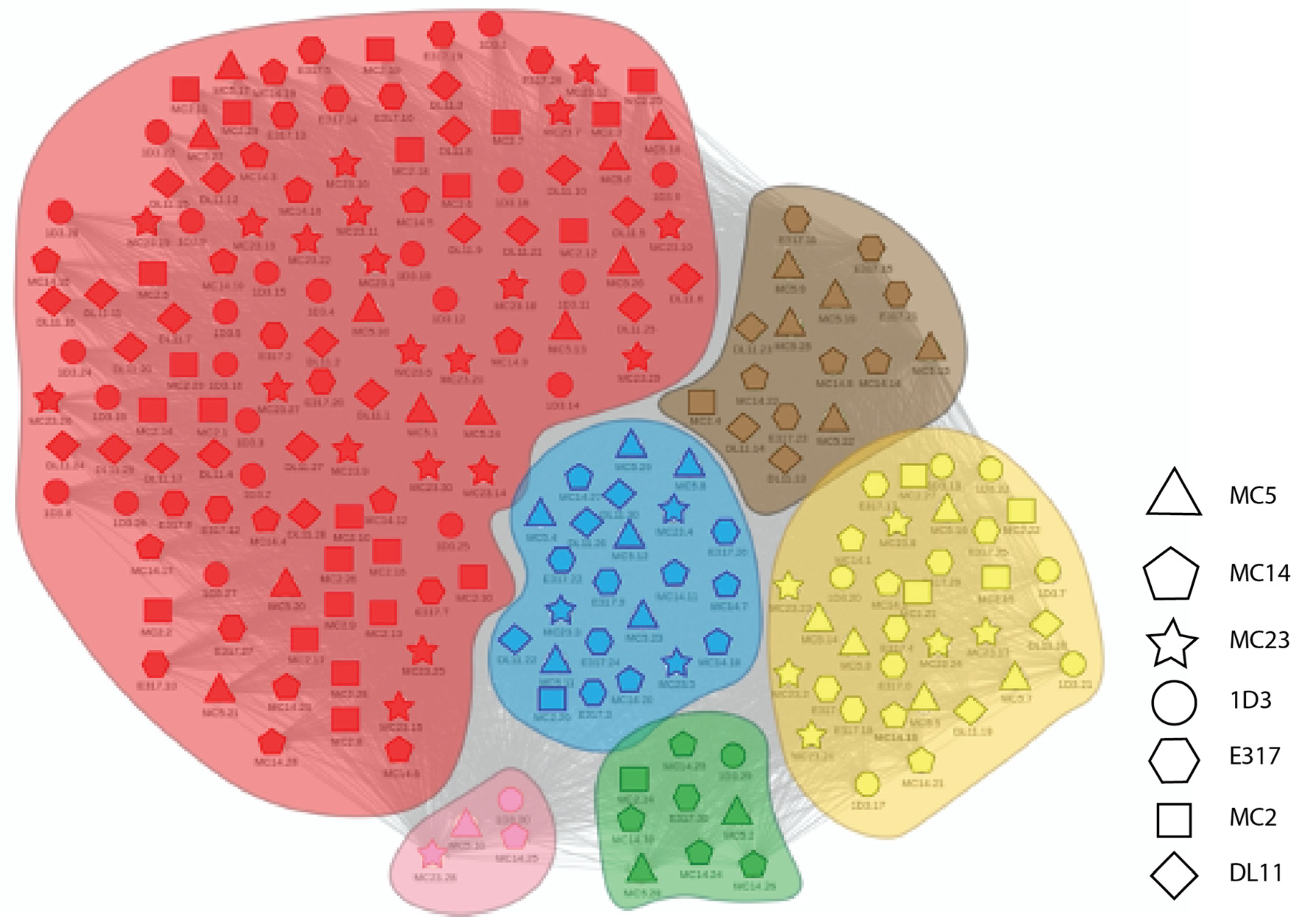 Molecules 25 03659 g005 Molecules 25 03659 g005