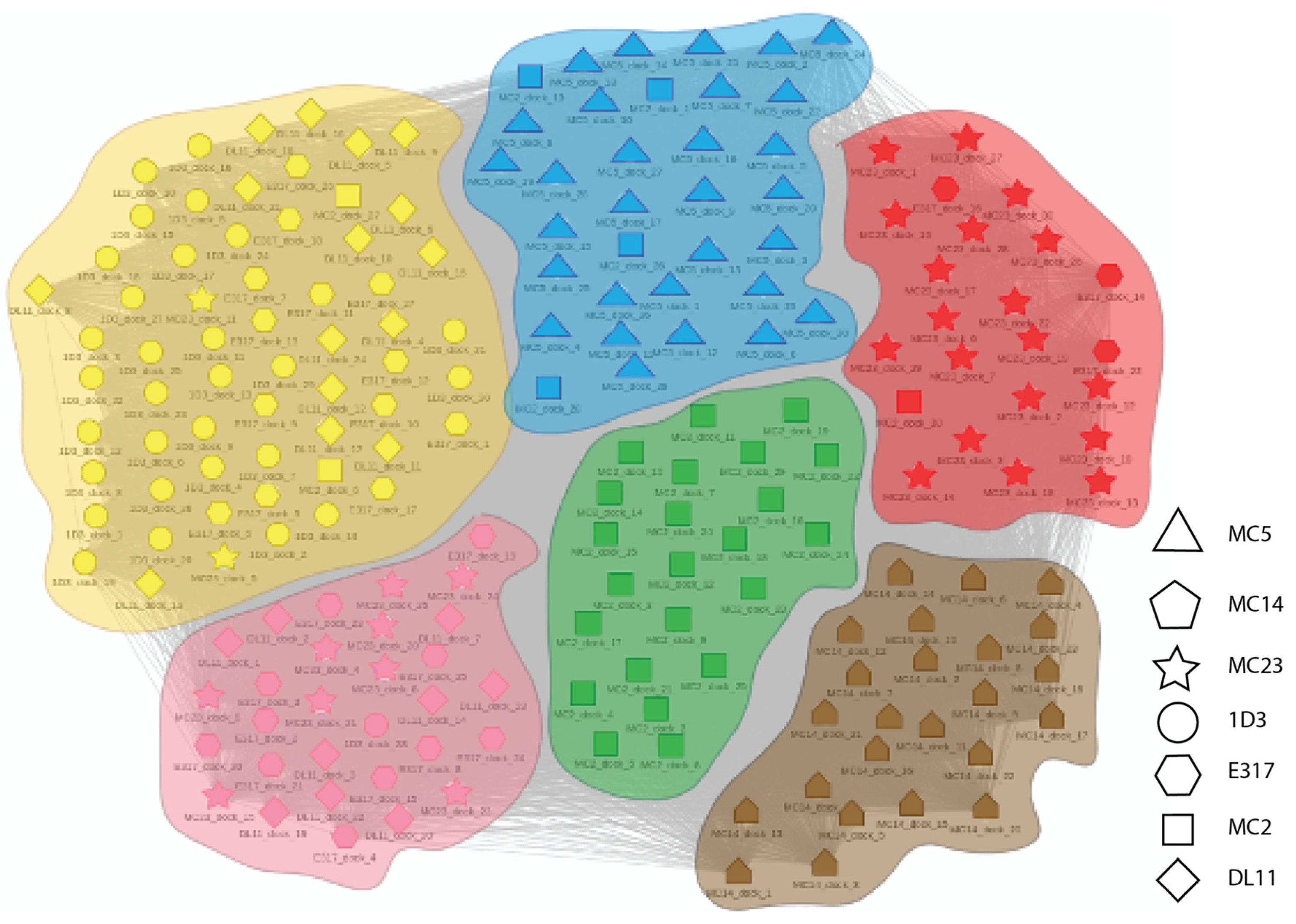 Molecules 25 03659 g009 Molecules 25 03659 g009