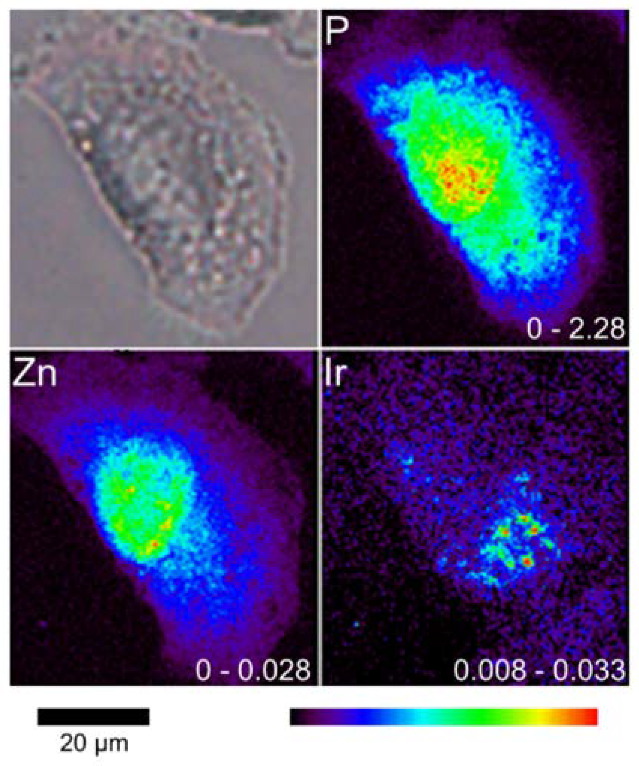 Molecules 25 03661 g006