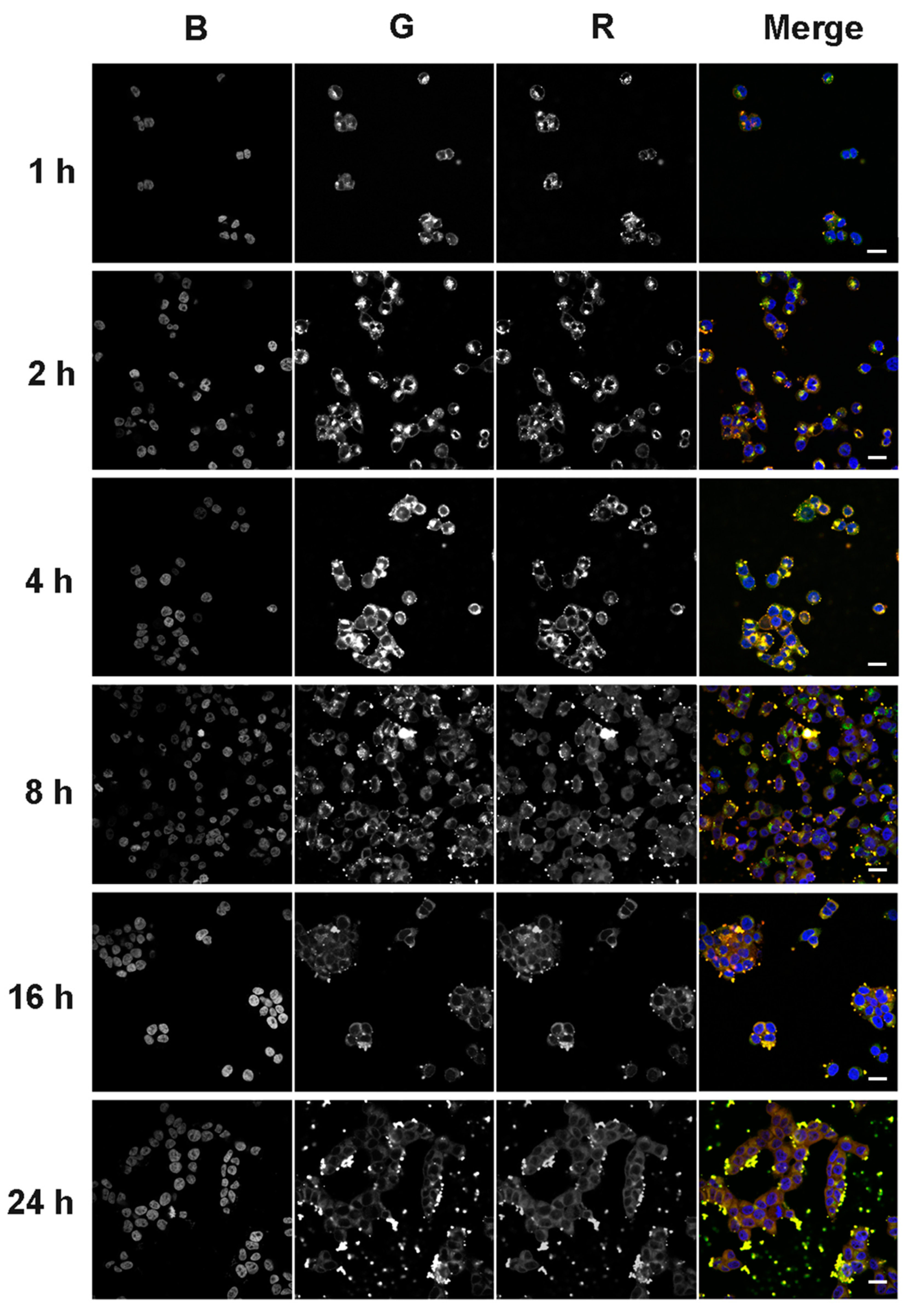 Molecules 25 03663 g008 Molecules 25 03663 g008