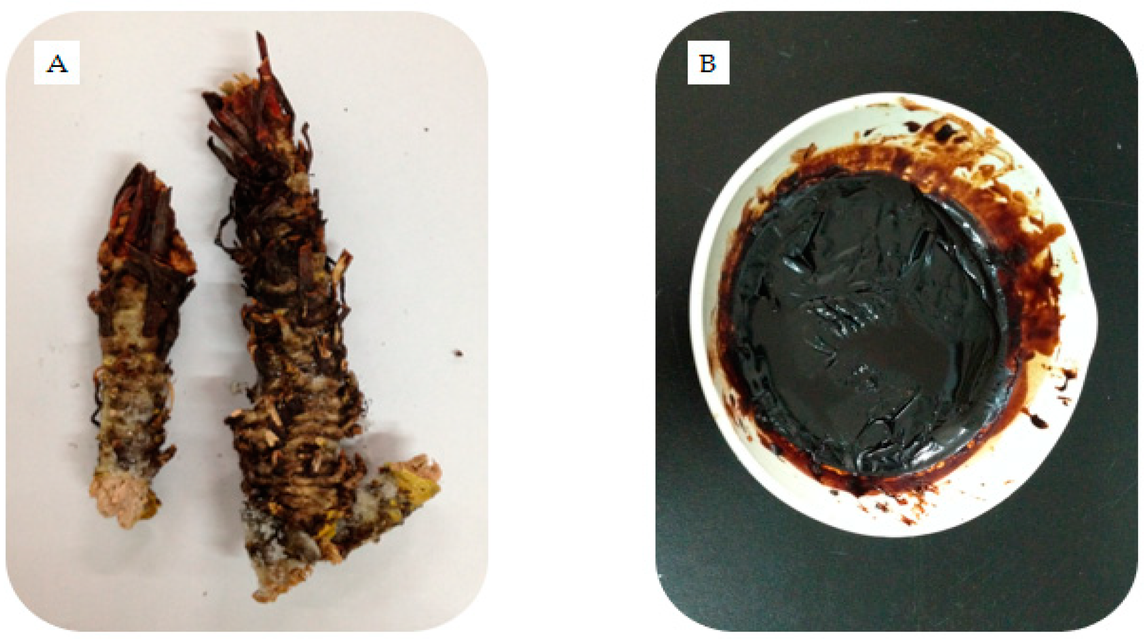 Molecules 25 03664 g001 Molecules 25 03664 g001
