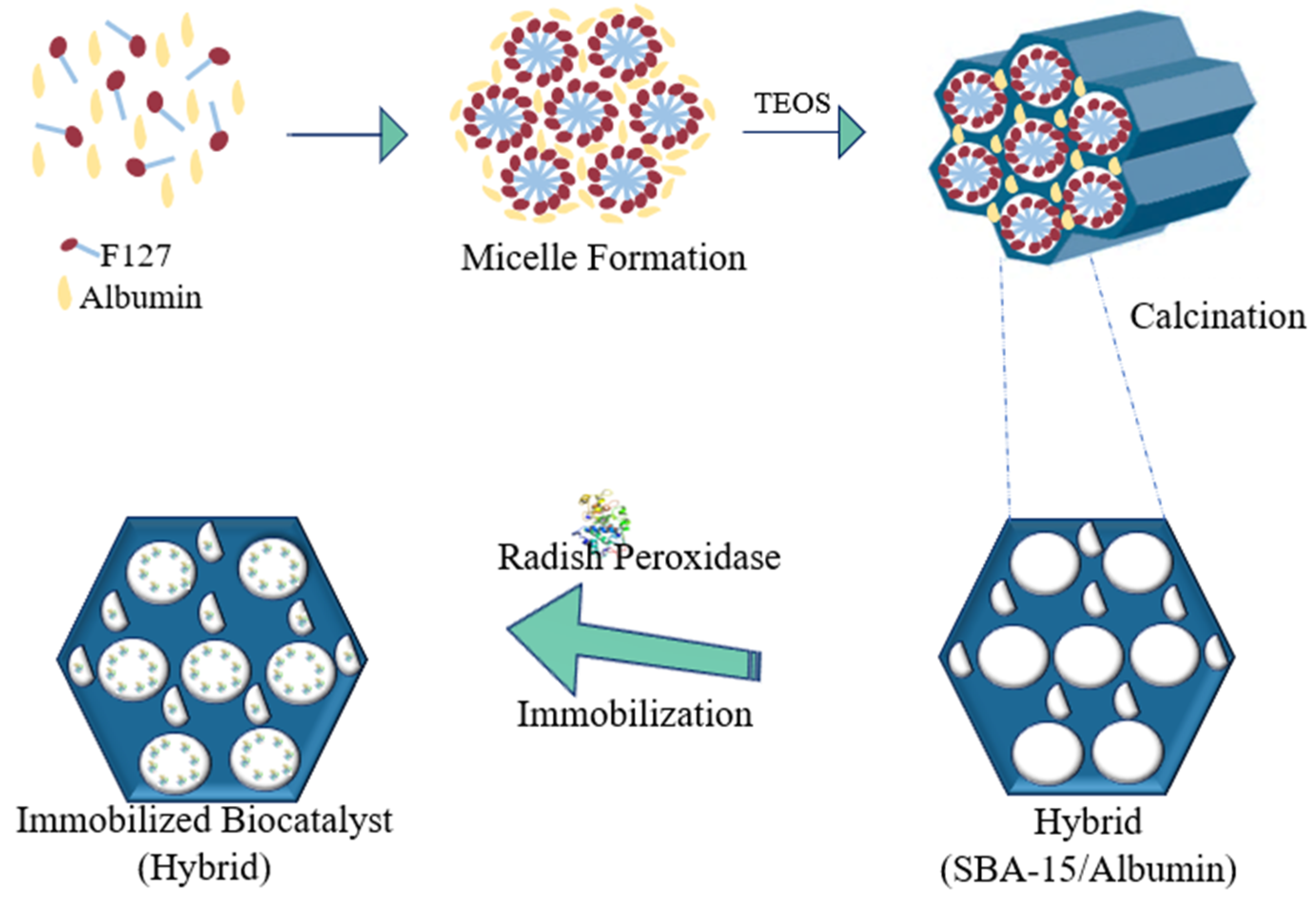 Molecules 25 03668 g002